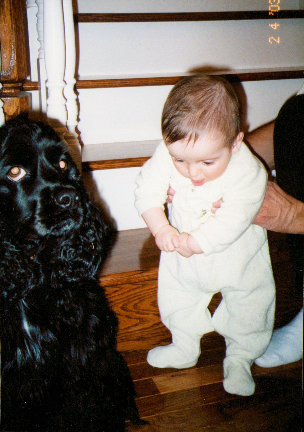 Photos 2003