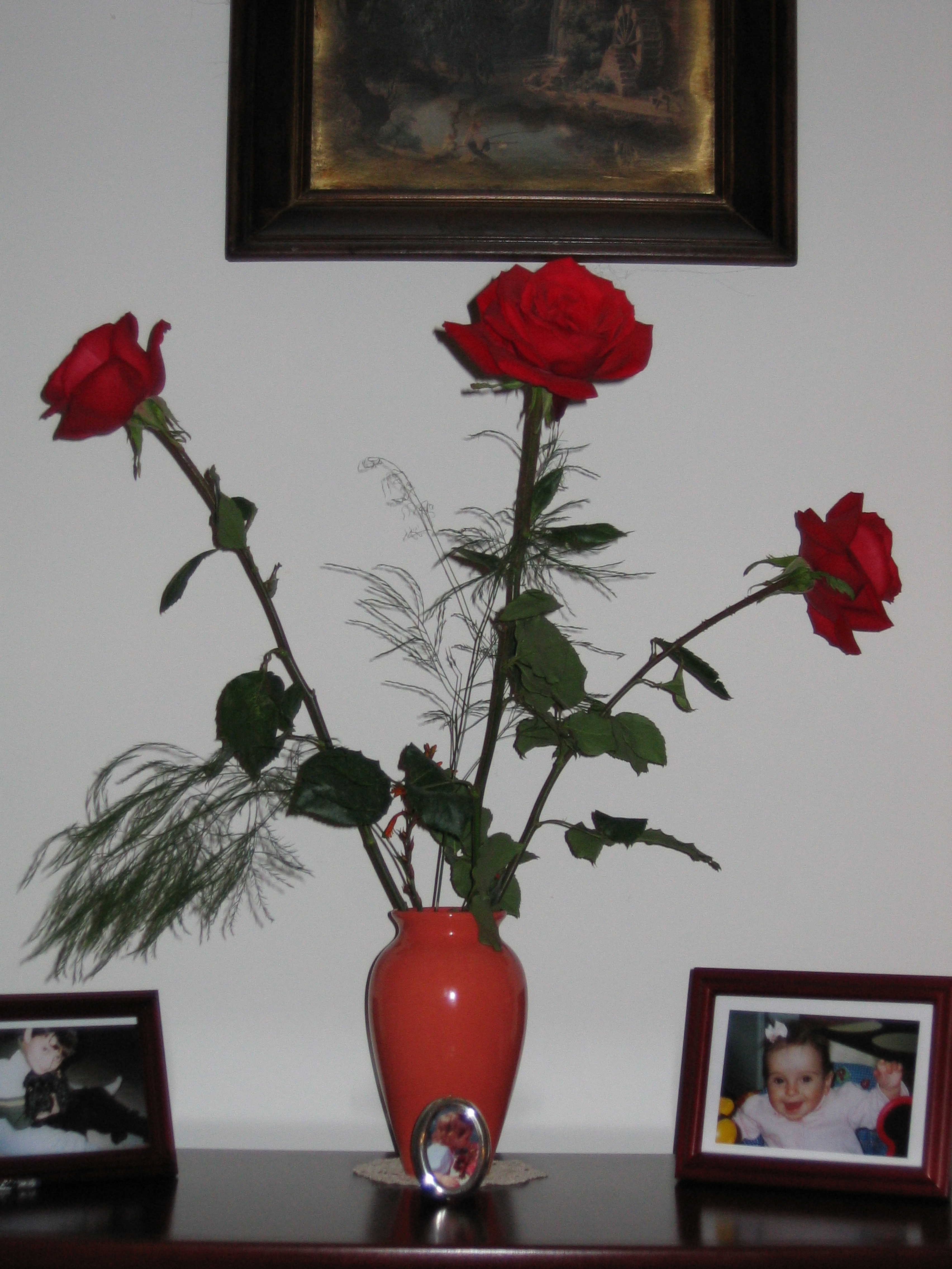 IMG_0039.png