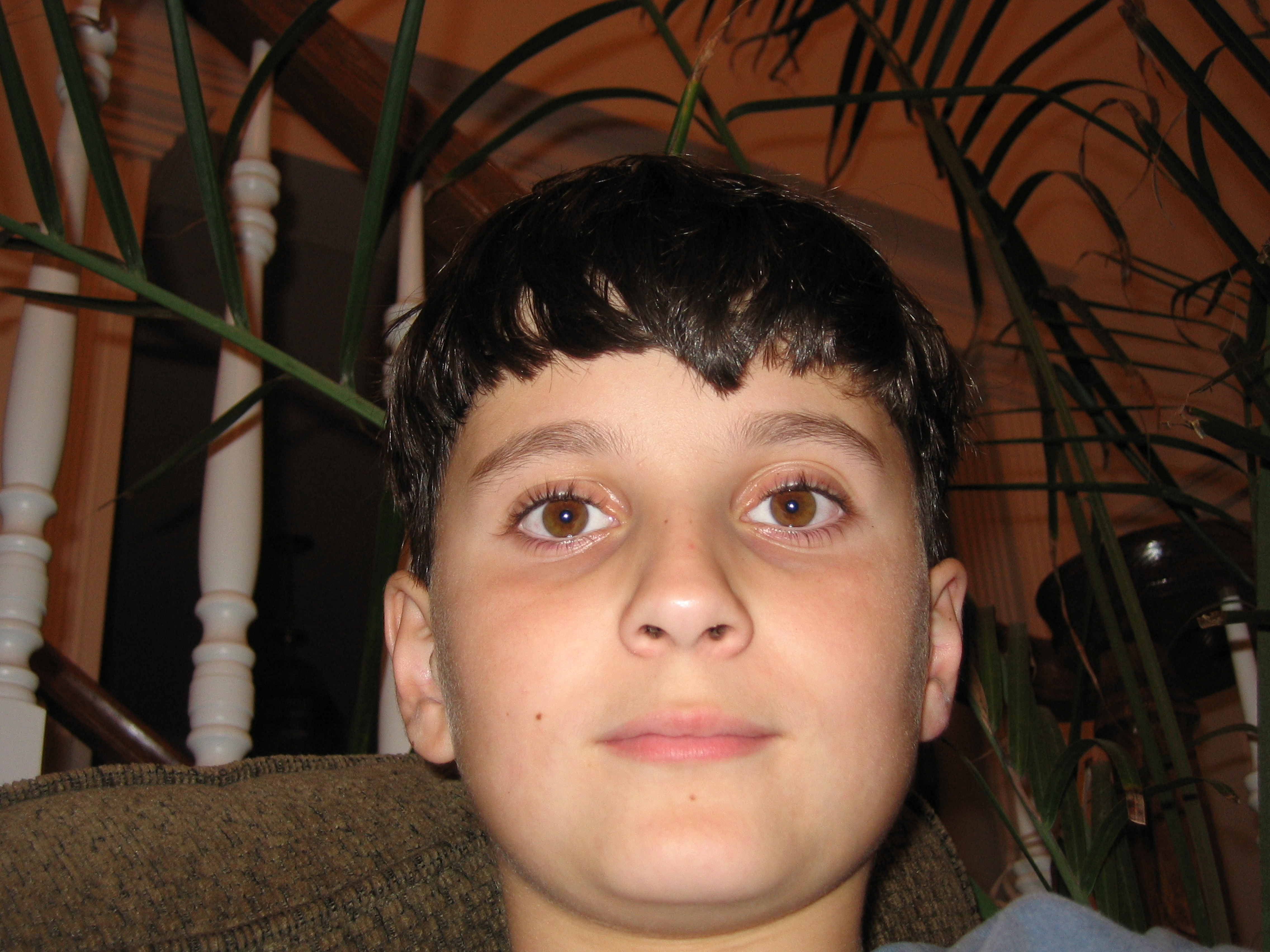 IMG_0175.png