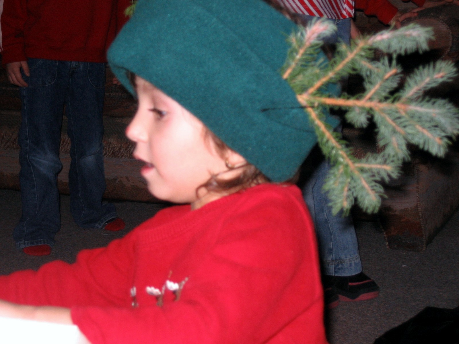 IMG_0801.jpg