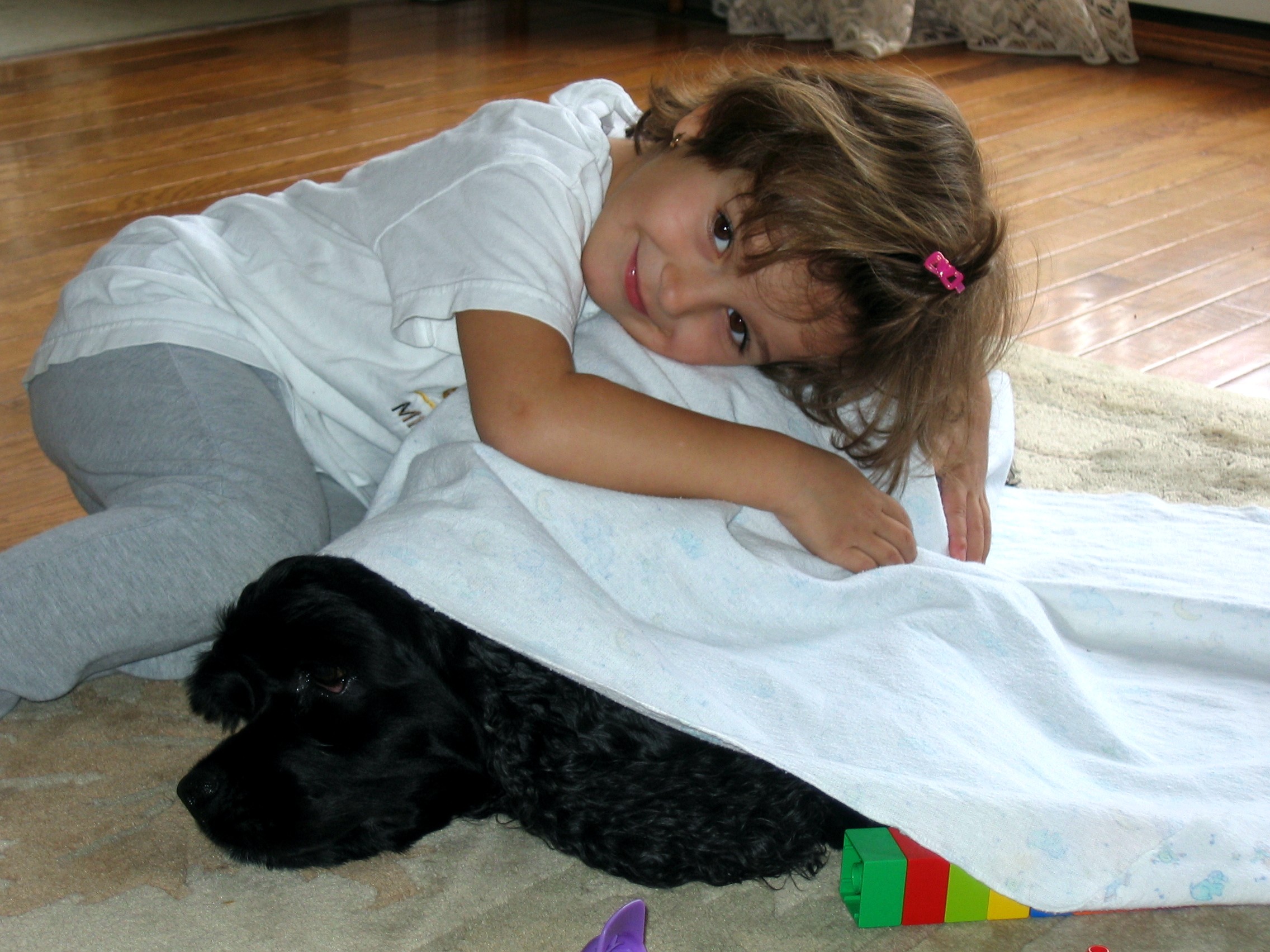 November 2005