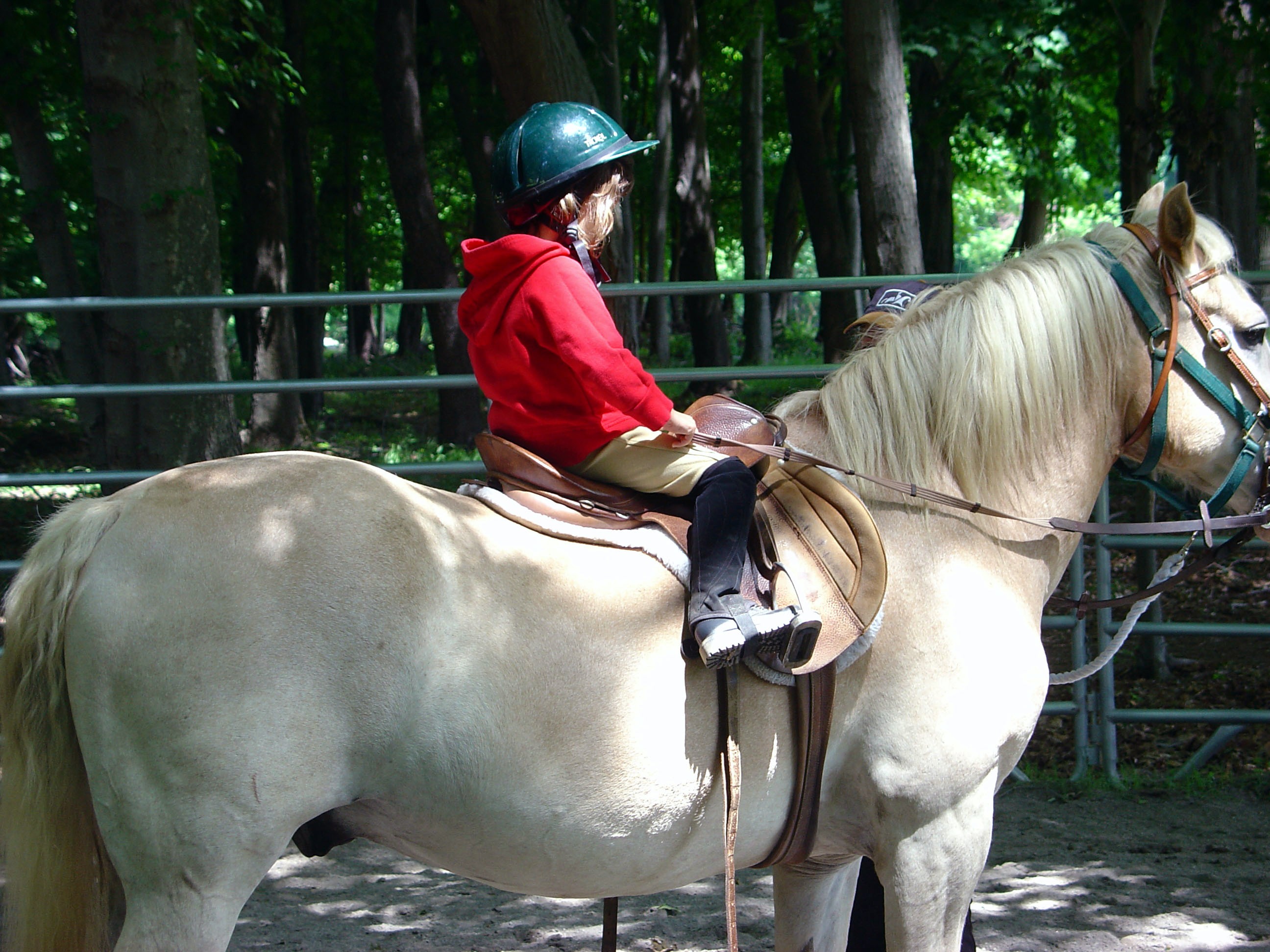 DSC01883.JPG
