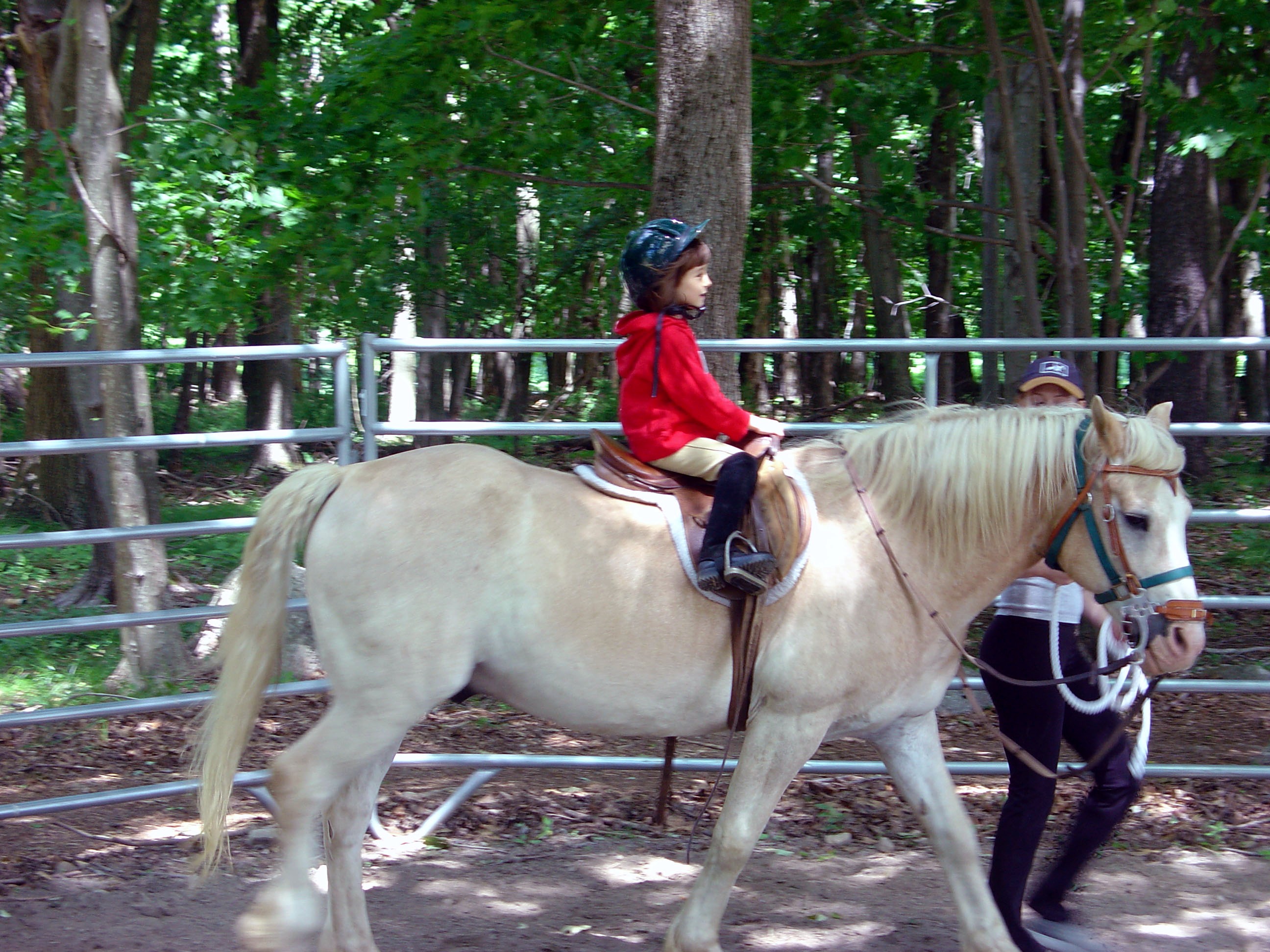 DSC01886.JPG
