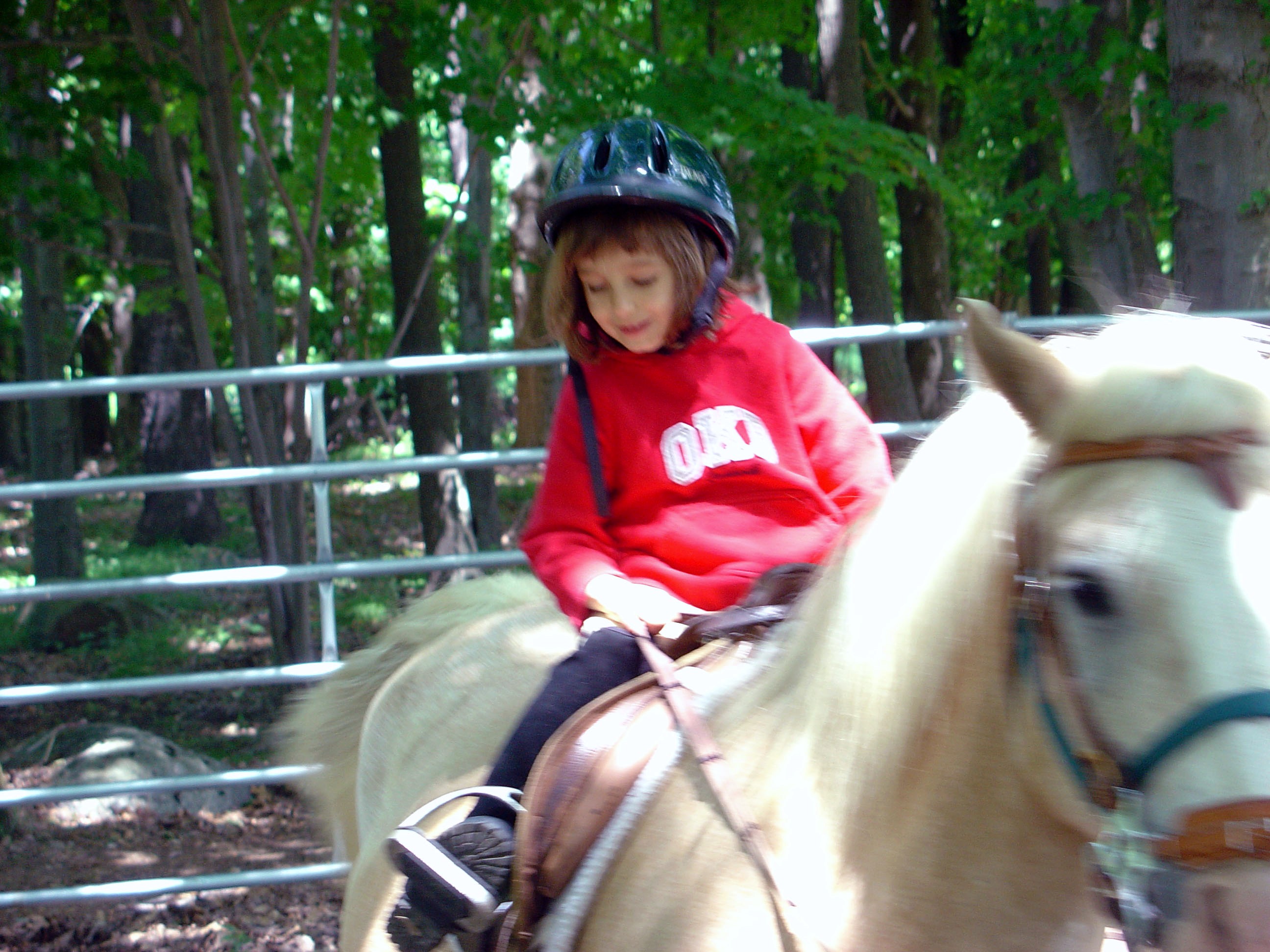 DSC01897.JPG