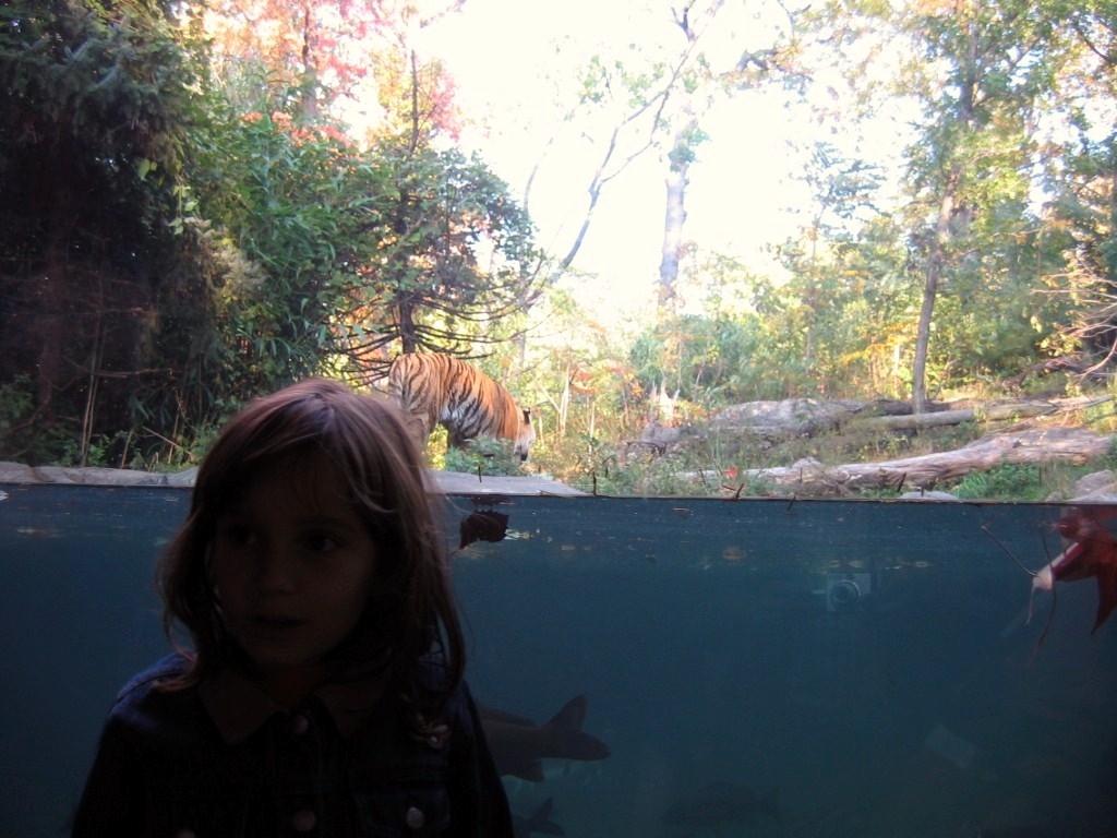 IMG_1497.jpg