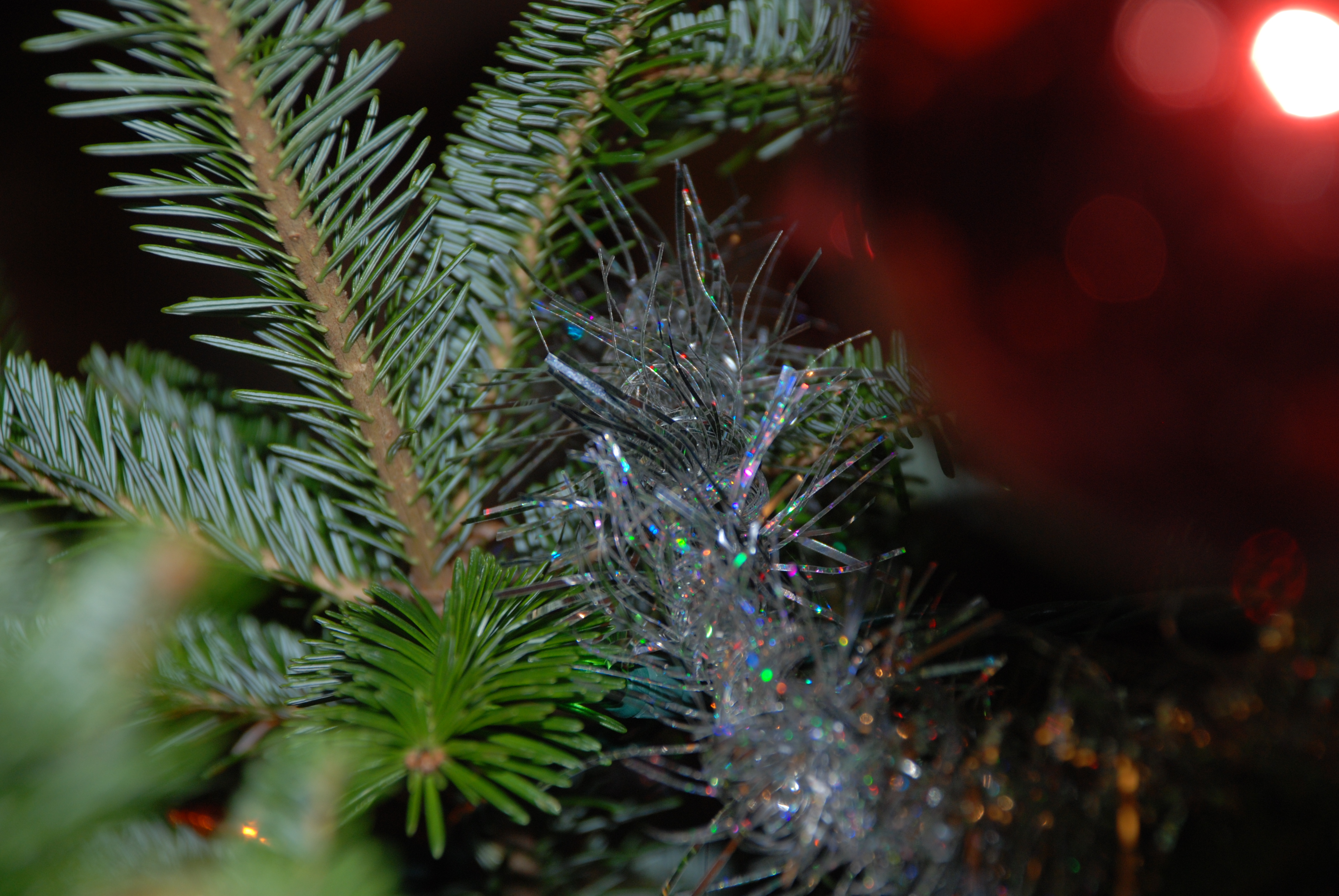 DSC_0047.JPG