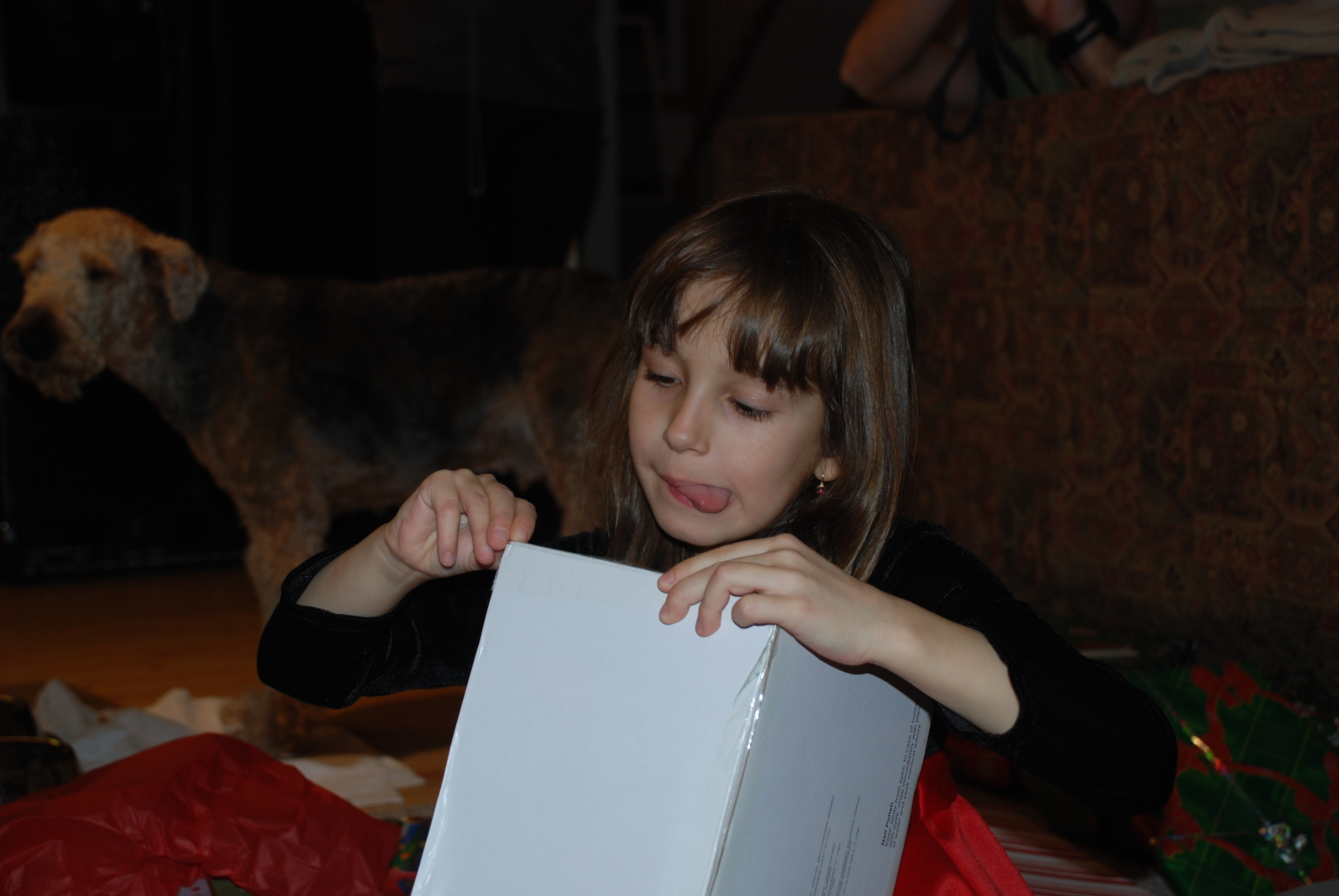 DSC_0048.JPG