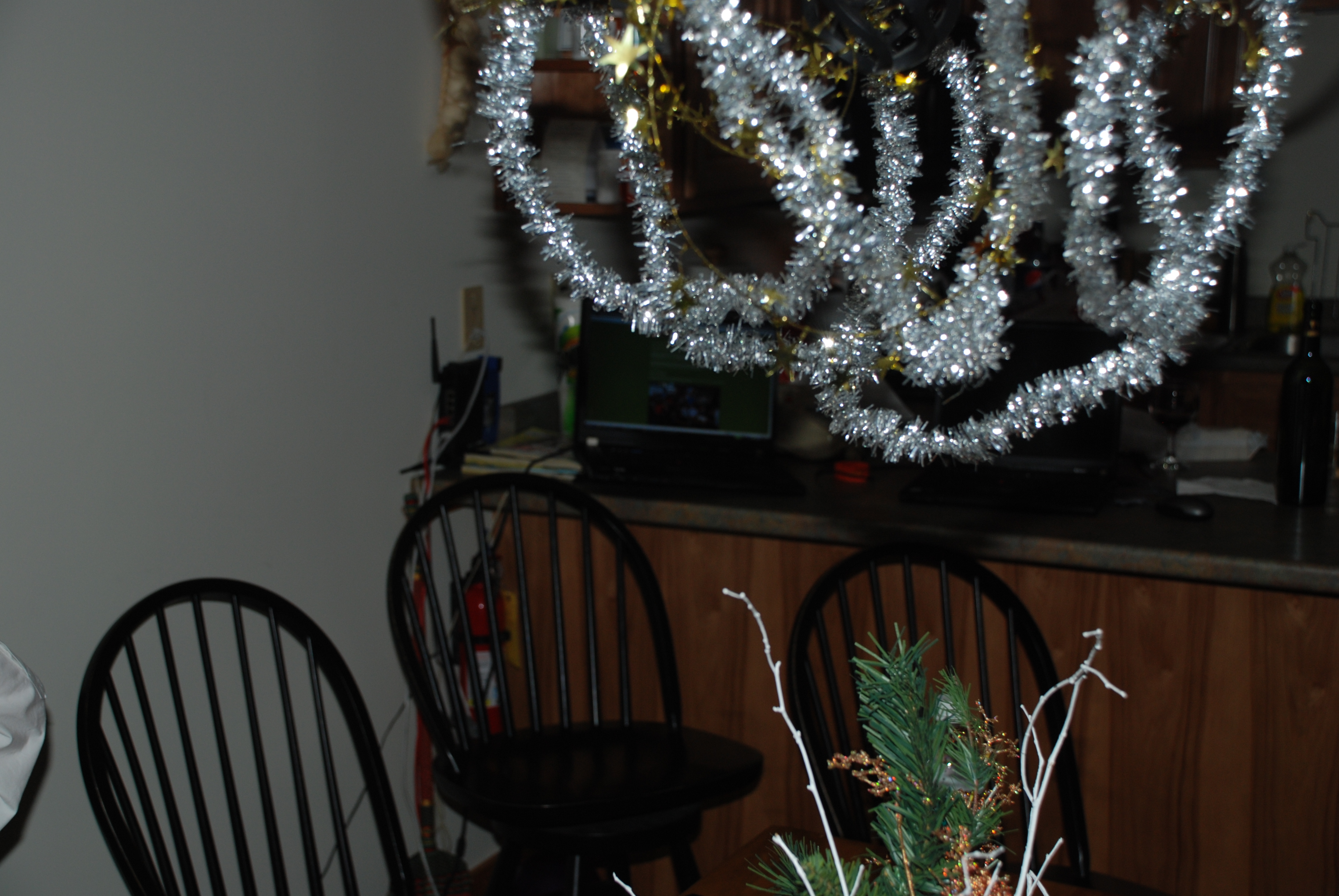 DSC_0102.JPG