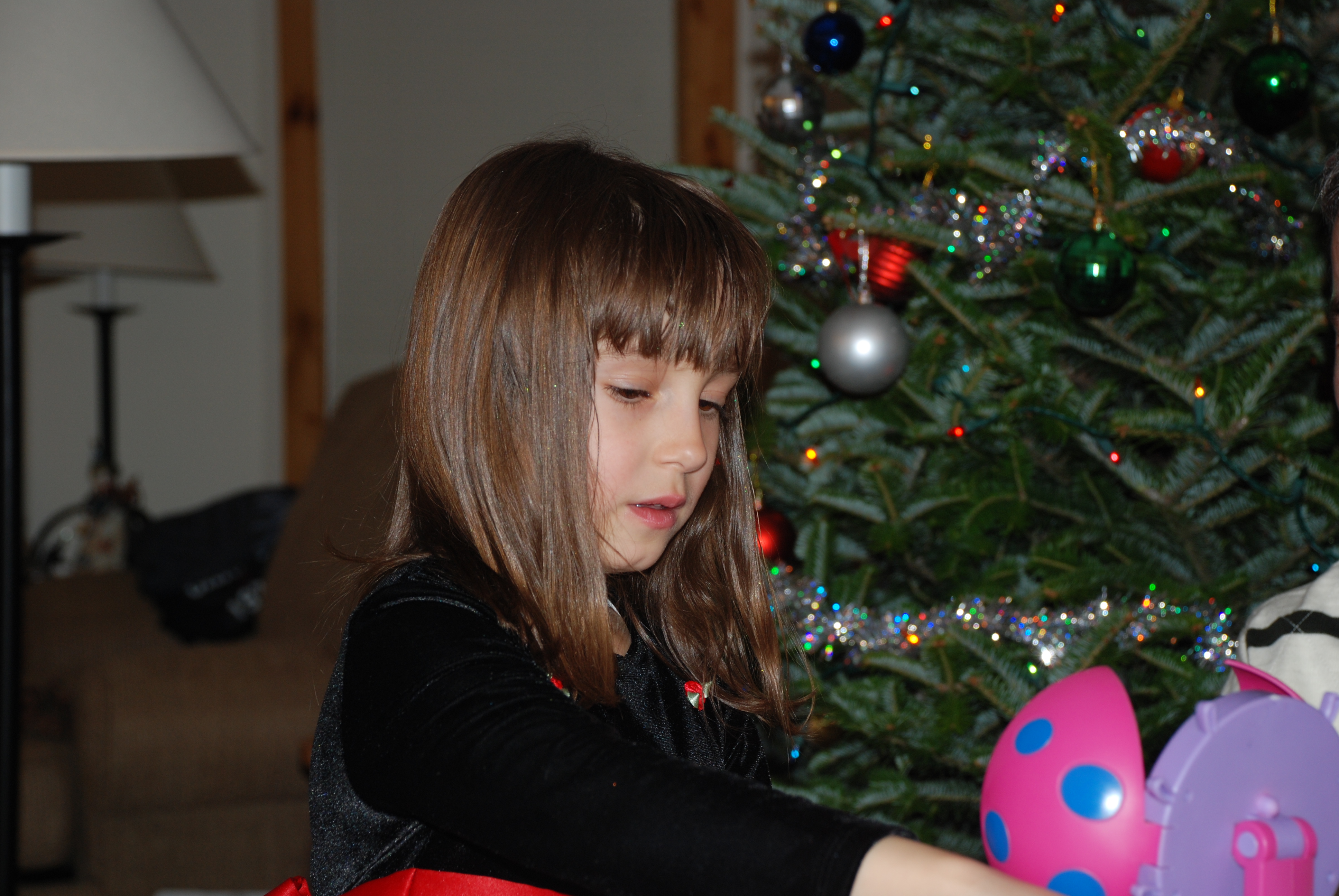 DSC_0113.JPG