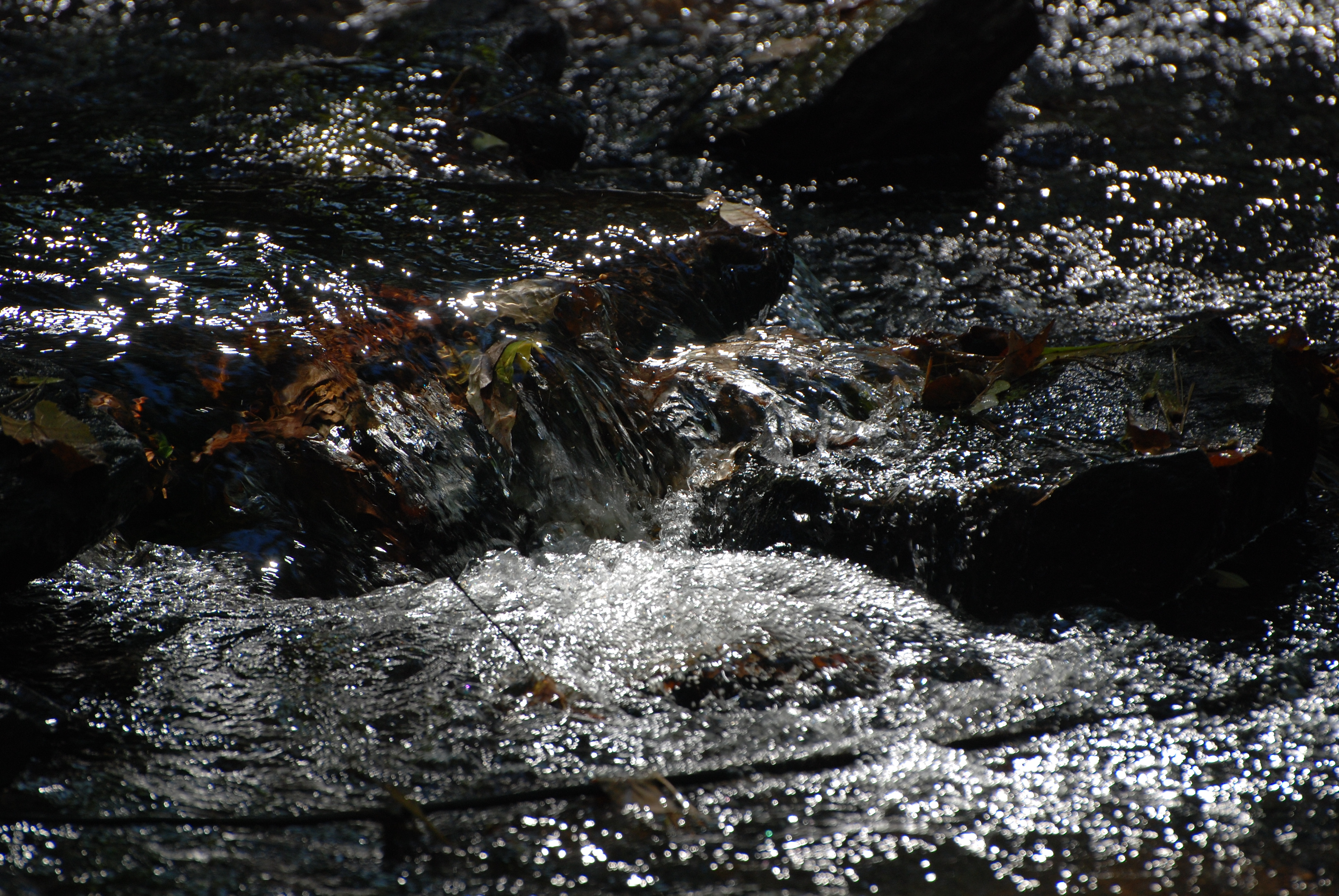 DSC_0047.JPG