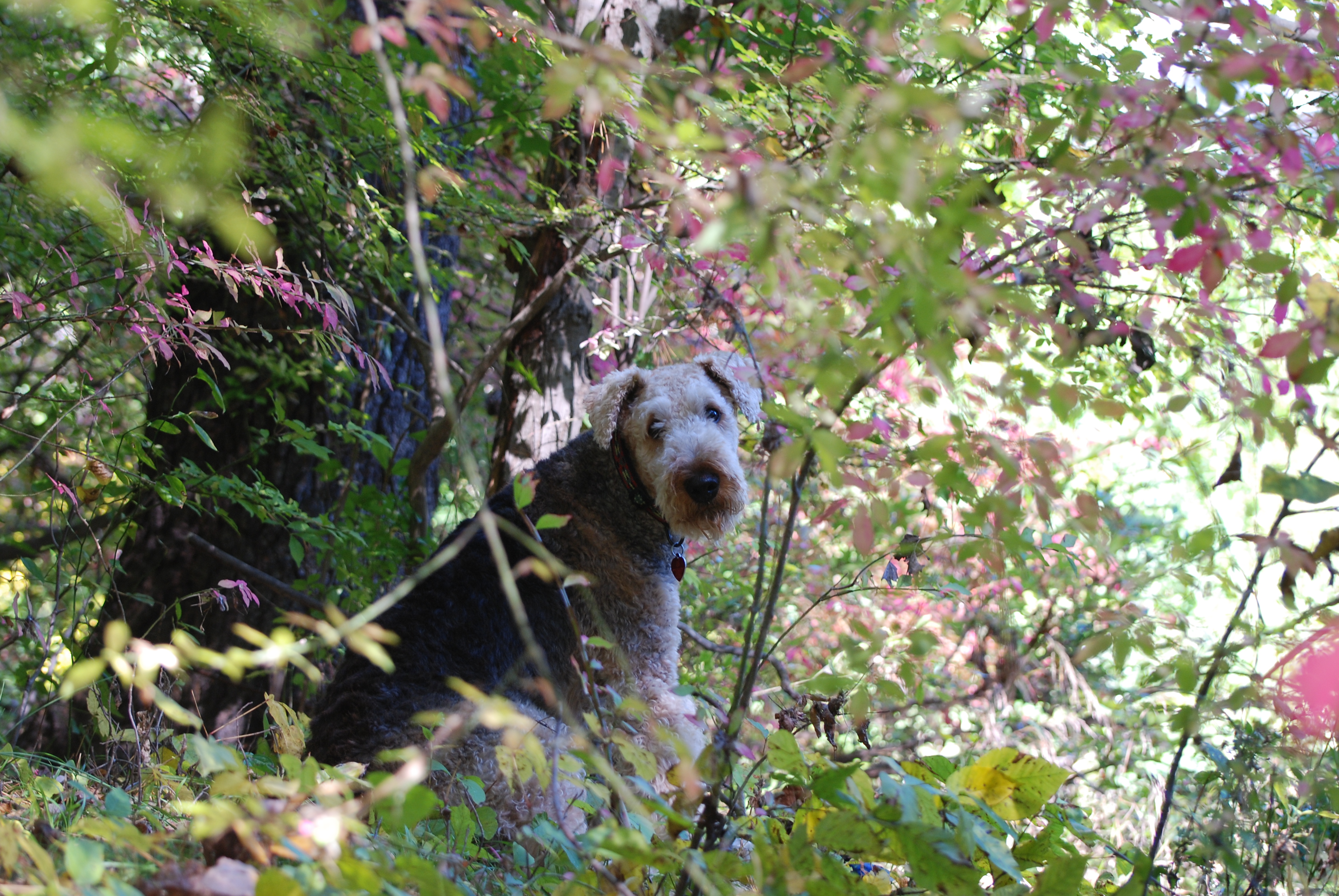 DSC_0048.JPG