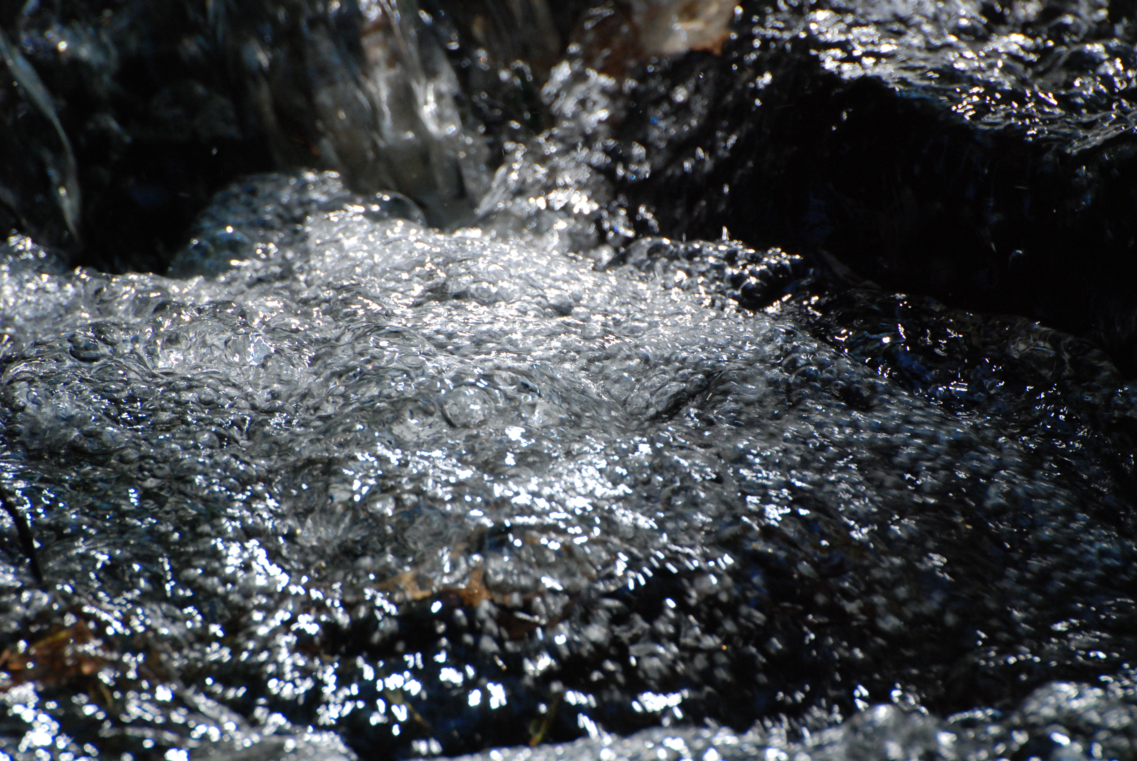DSC_0049.JPG