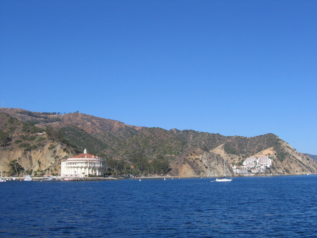 IMG_1779.JPG