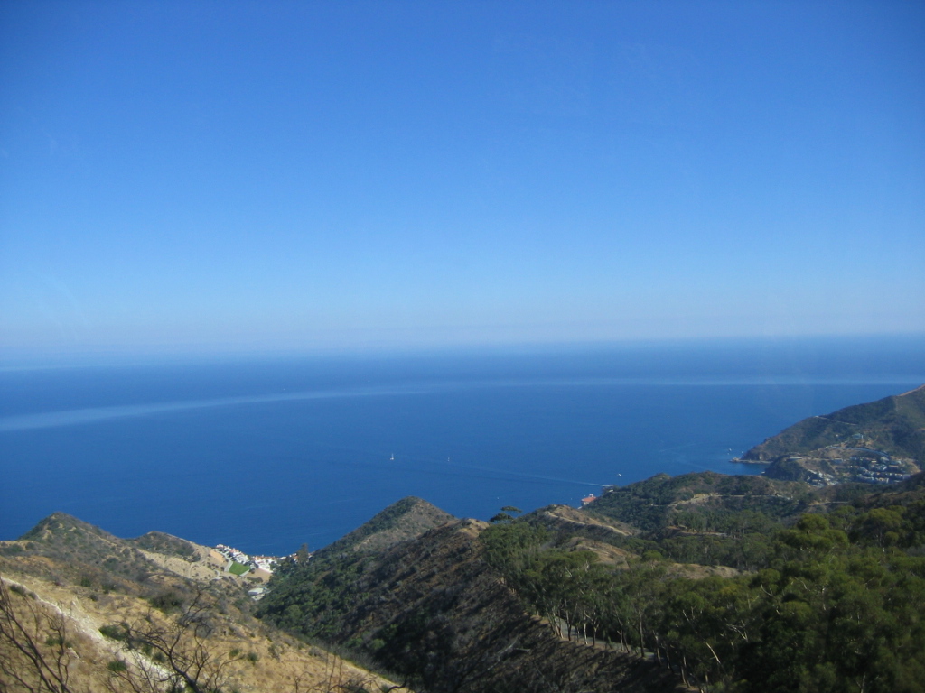 IMG_1782.JPG
