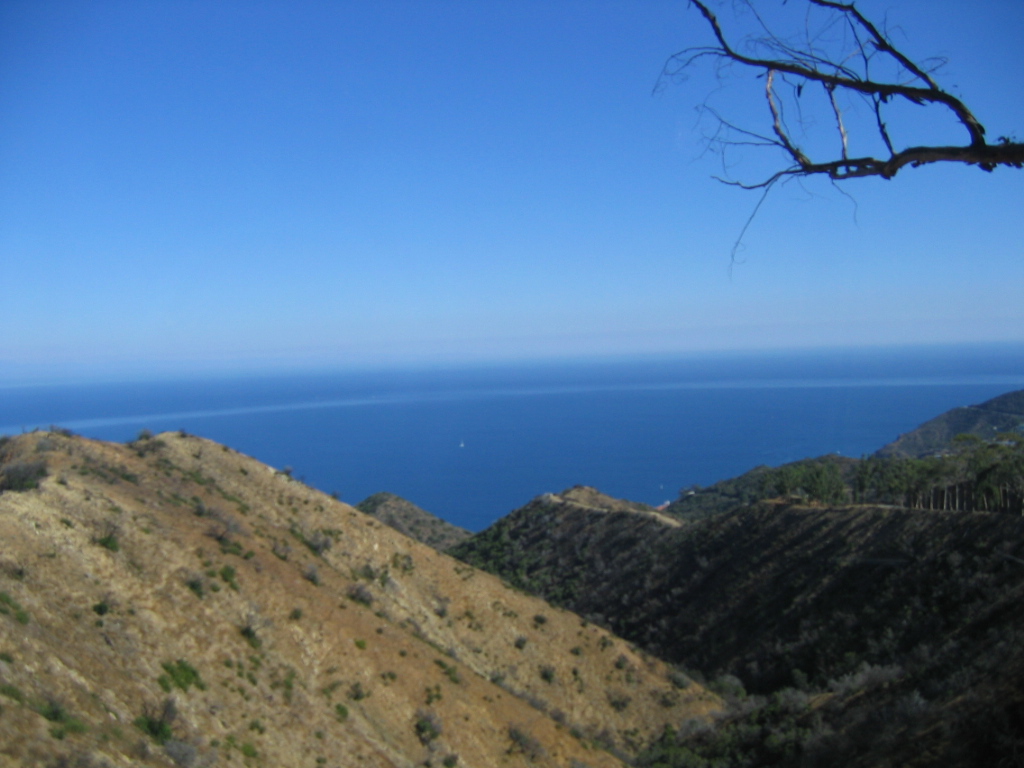 IMG_1783.JPG