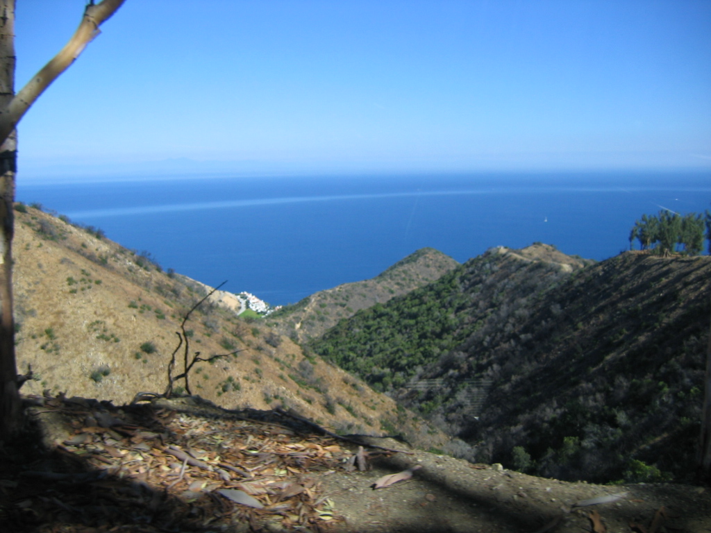 IMG_1785.JPG