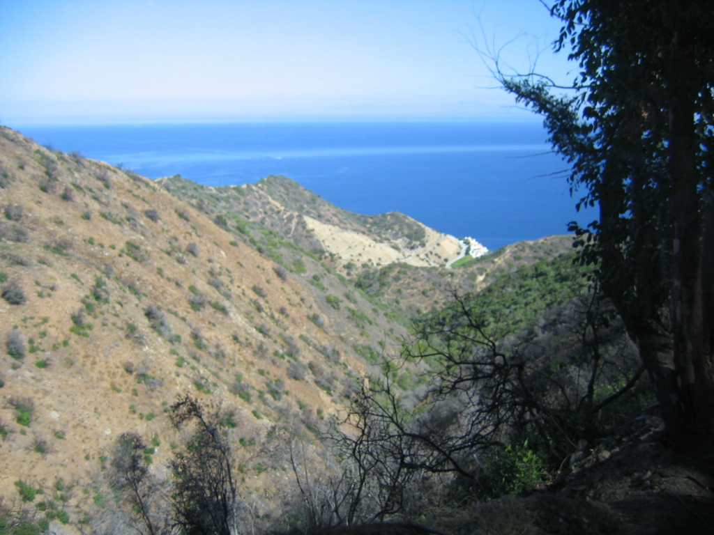 IMG_1786.JPG