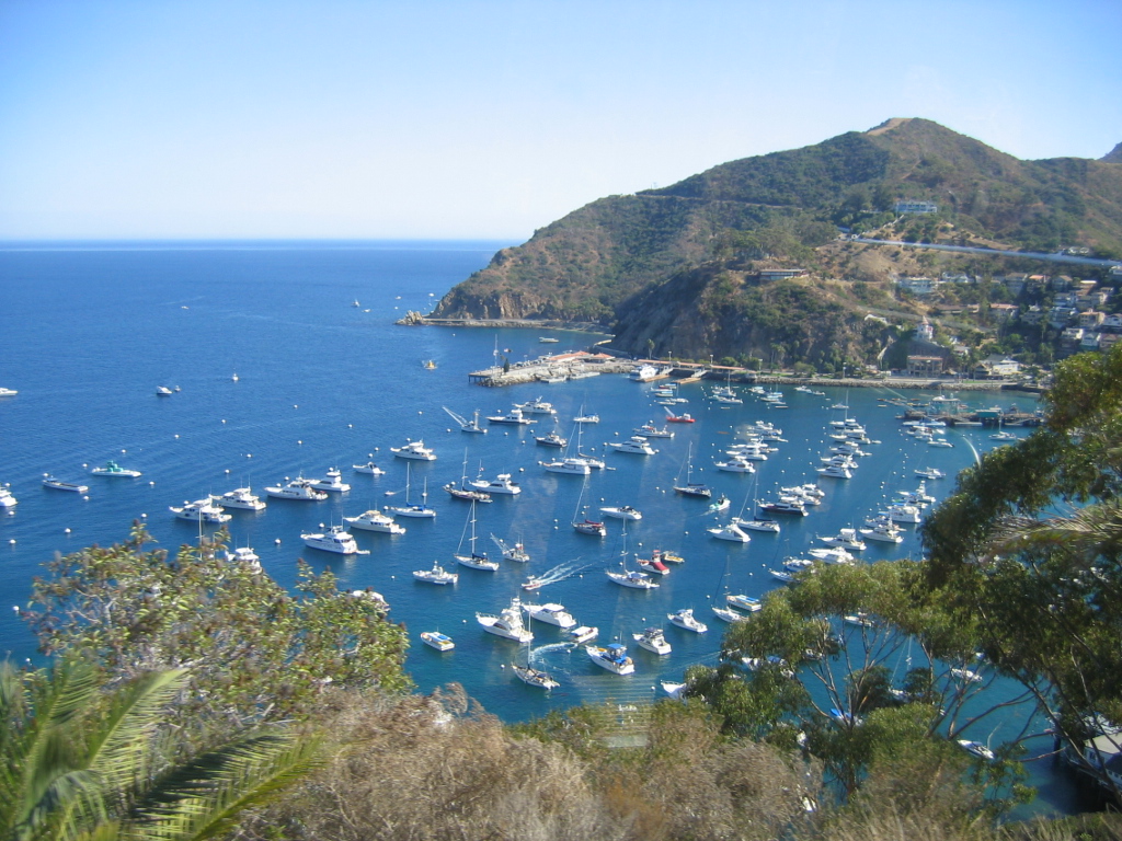 IMG_1788.JPG