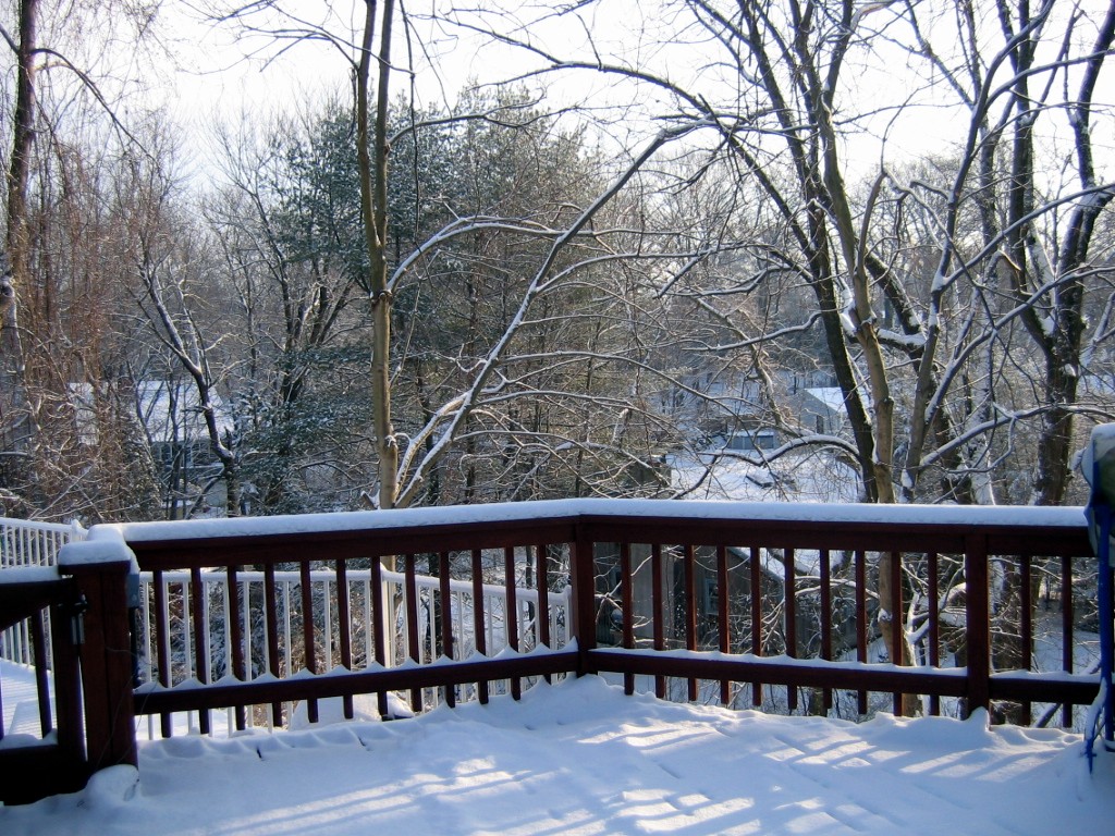 January 2009