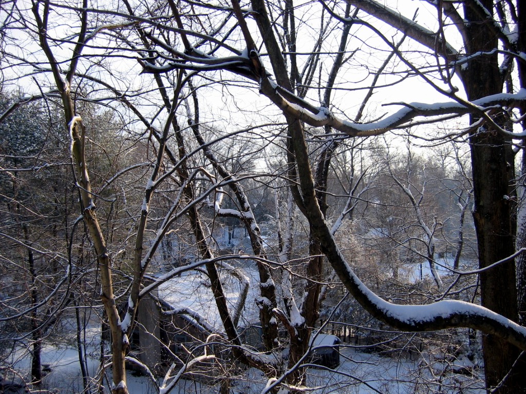 IMG_1842.JPG