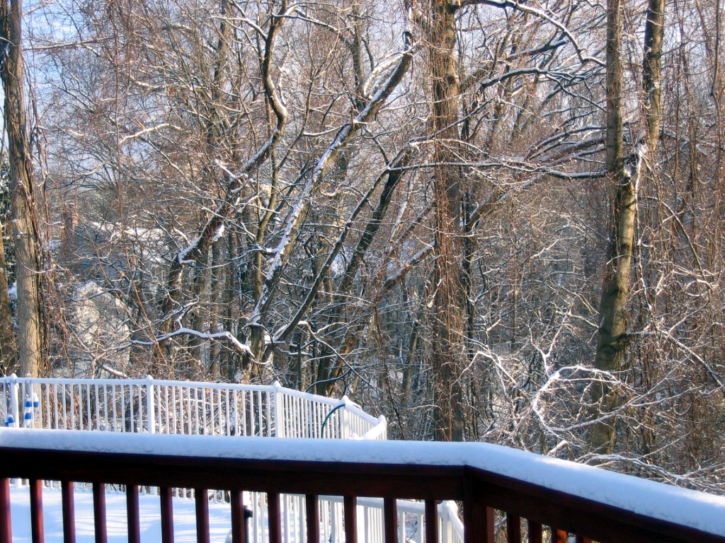 IMG_1843.JPG