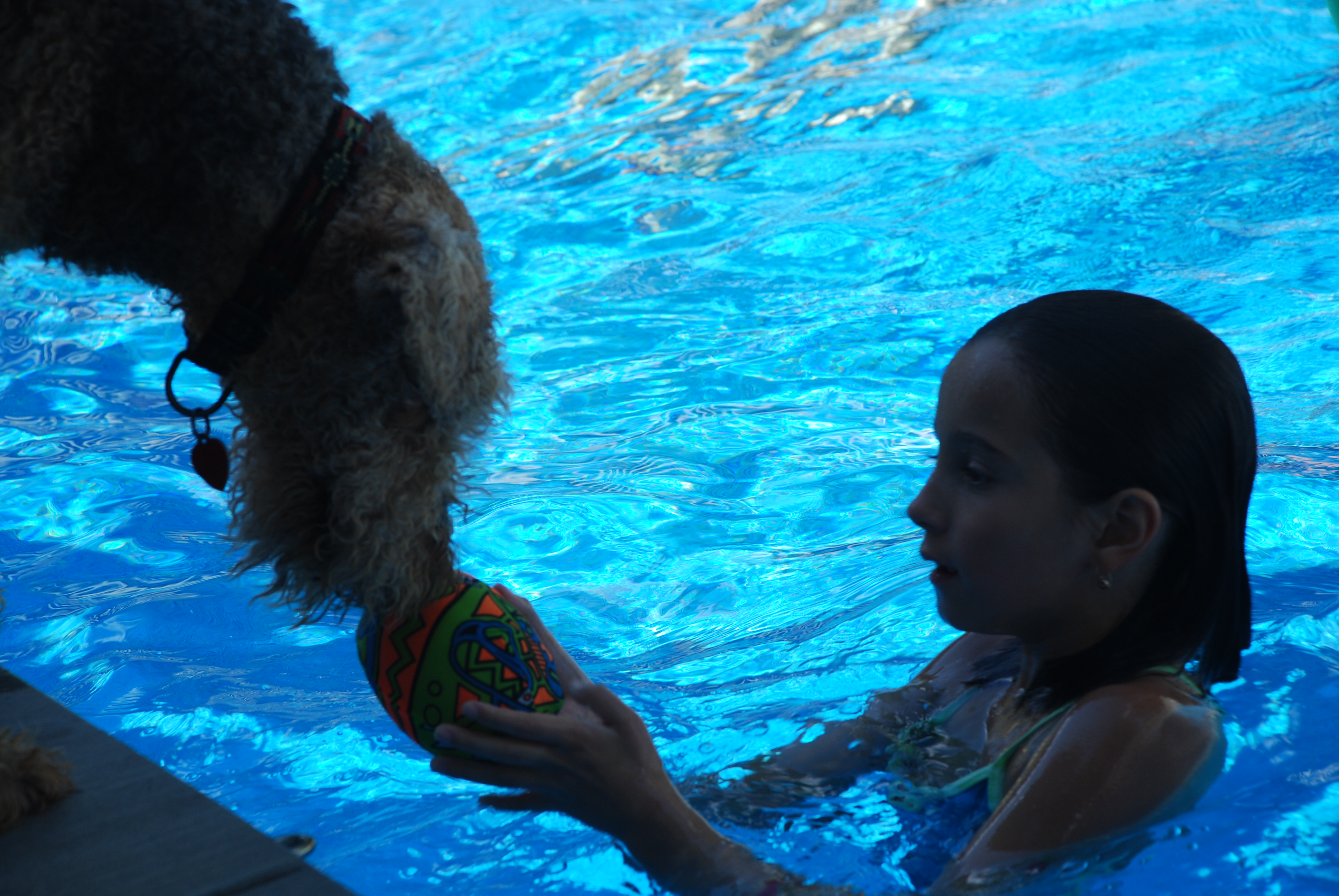 DSC_0155.JPG