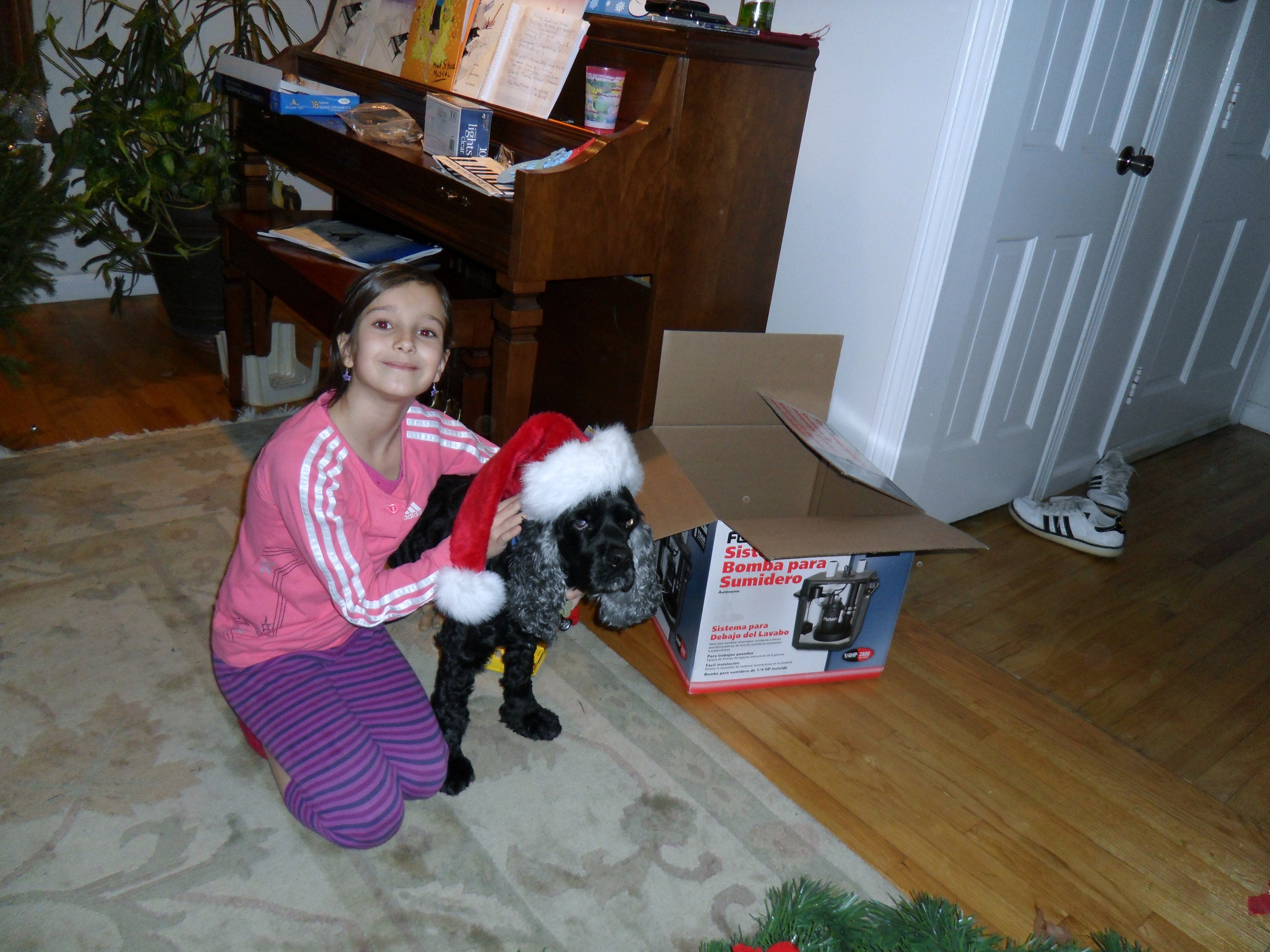SAM_0132.JPG