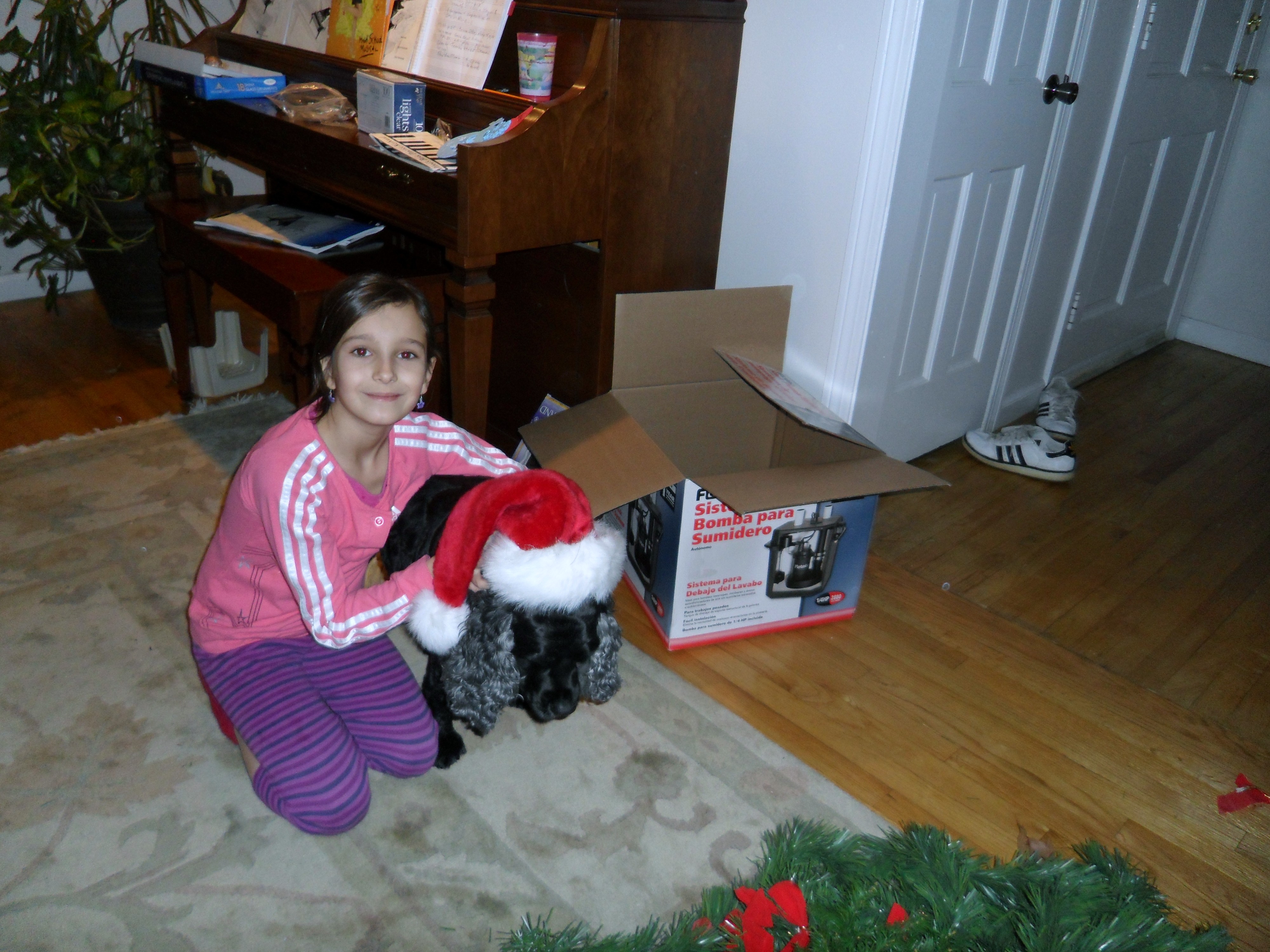 SAM_0133.JPG