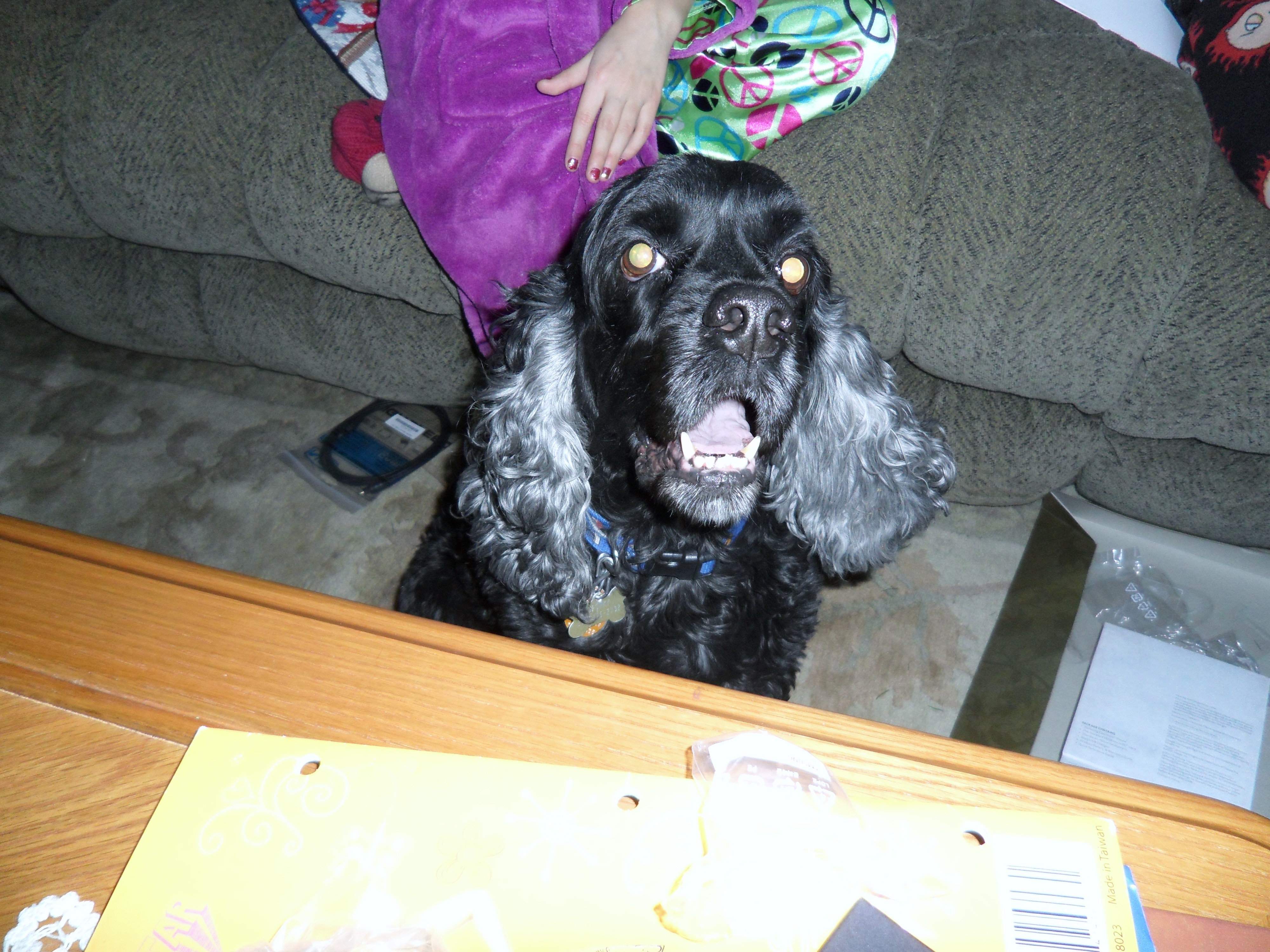SAM_0188.JPG