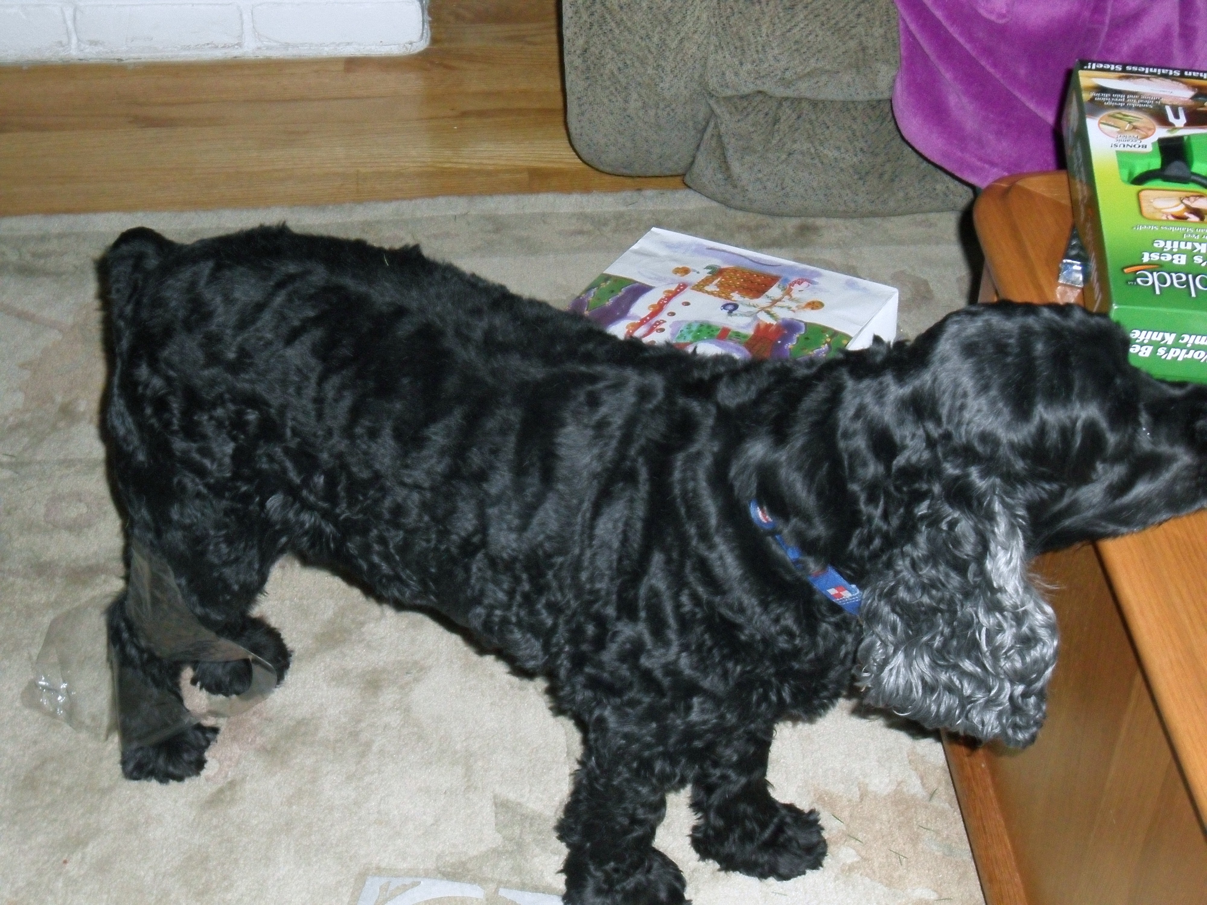 SAM_0191.JPG