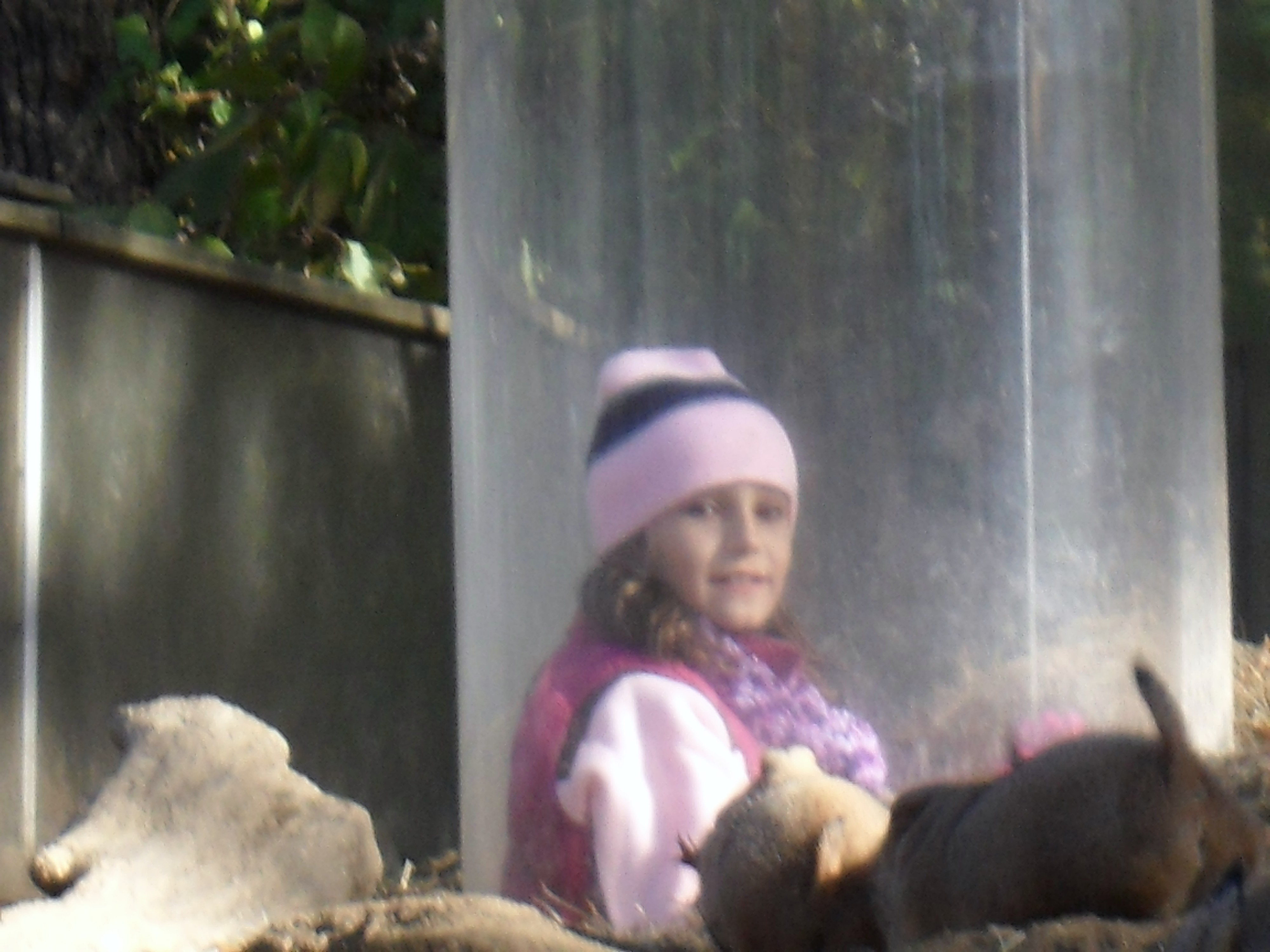SAM_0077.JPG