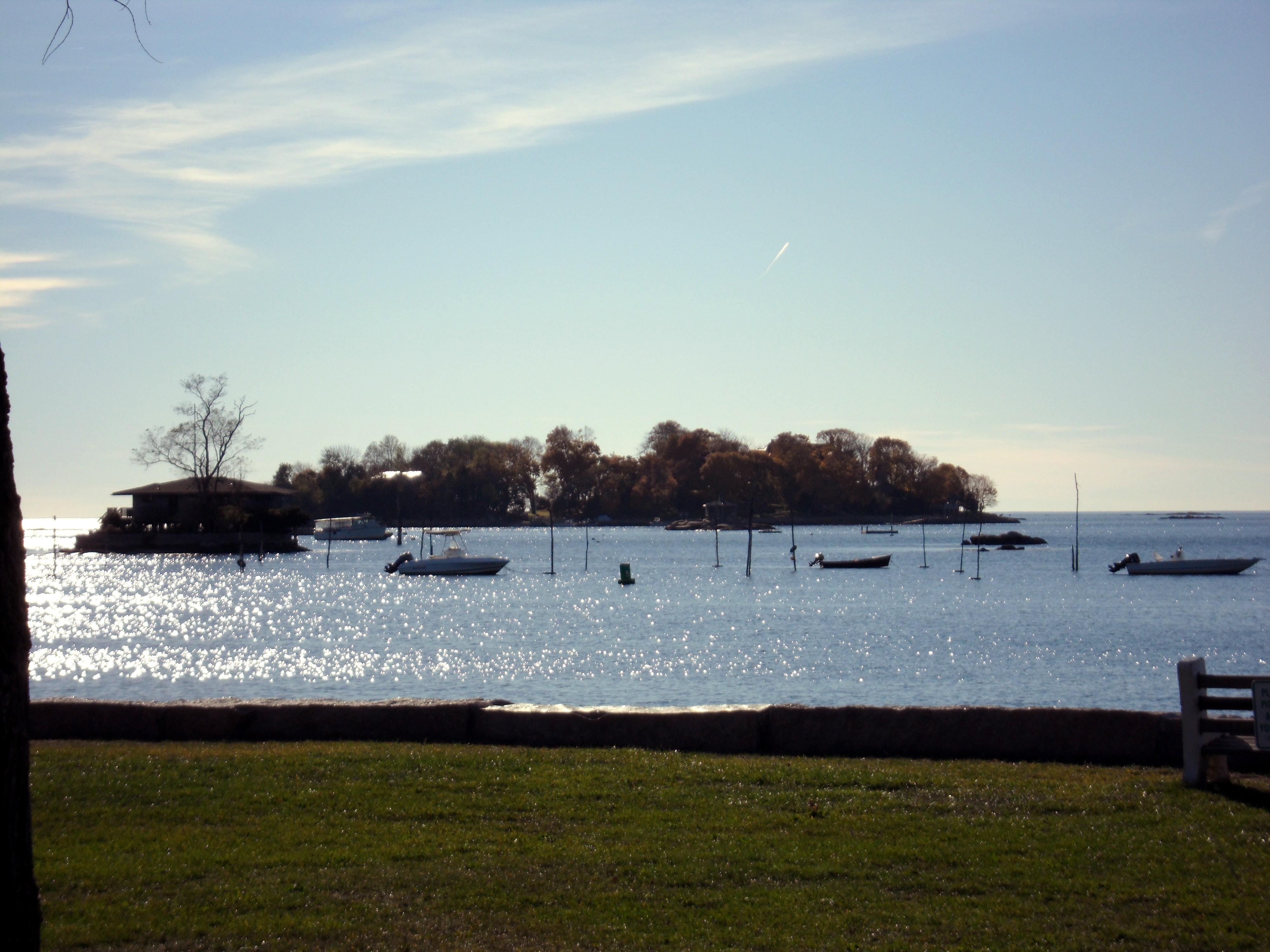 SAM_0090.JPG