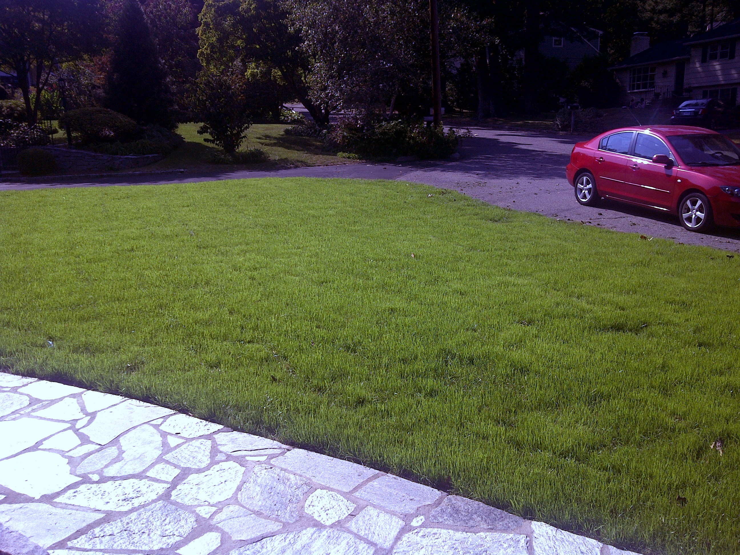 IMG-20100922-00034.jpg