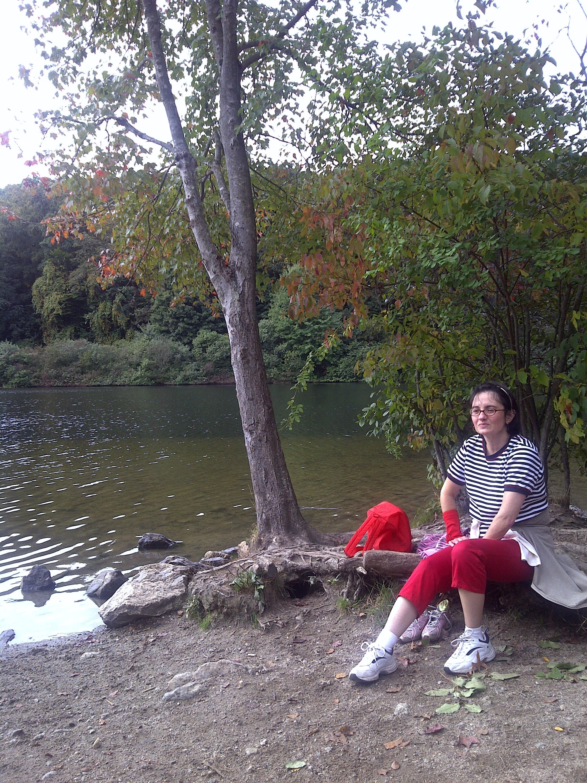 IMG-20100926-00038.jpg