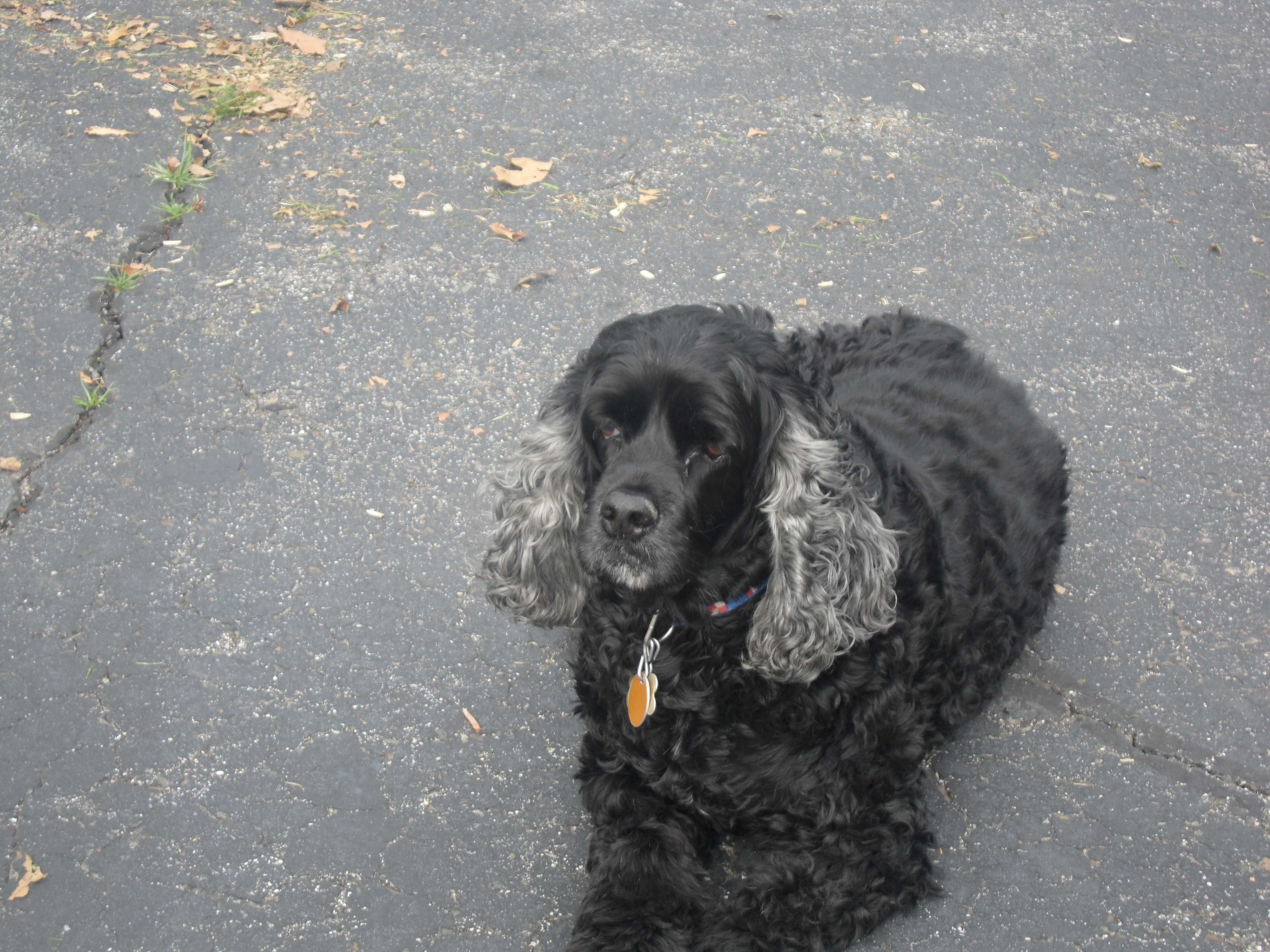 SAM_0425.JPG