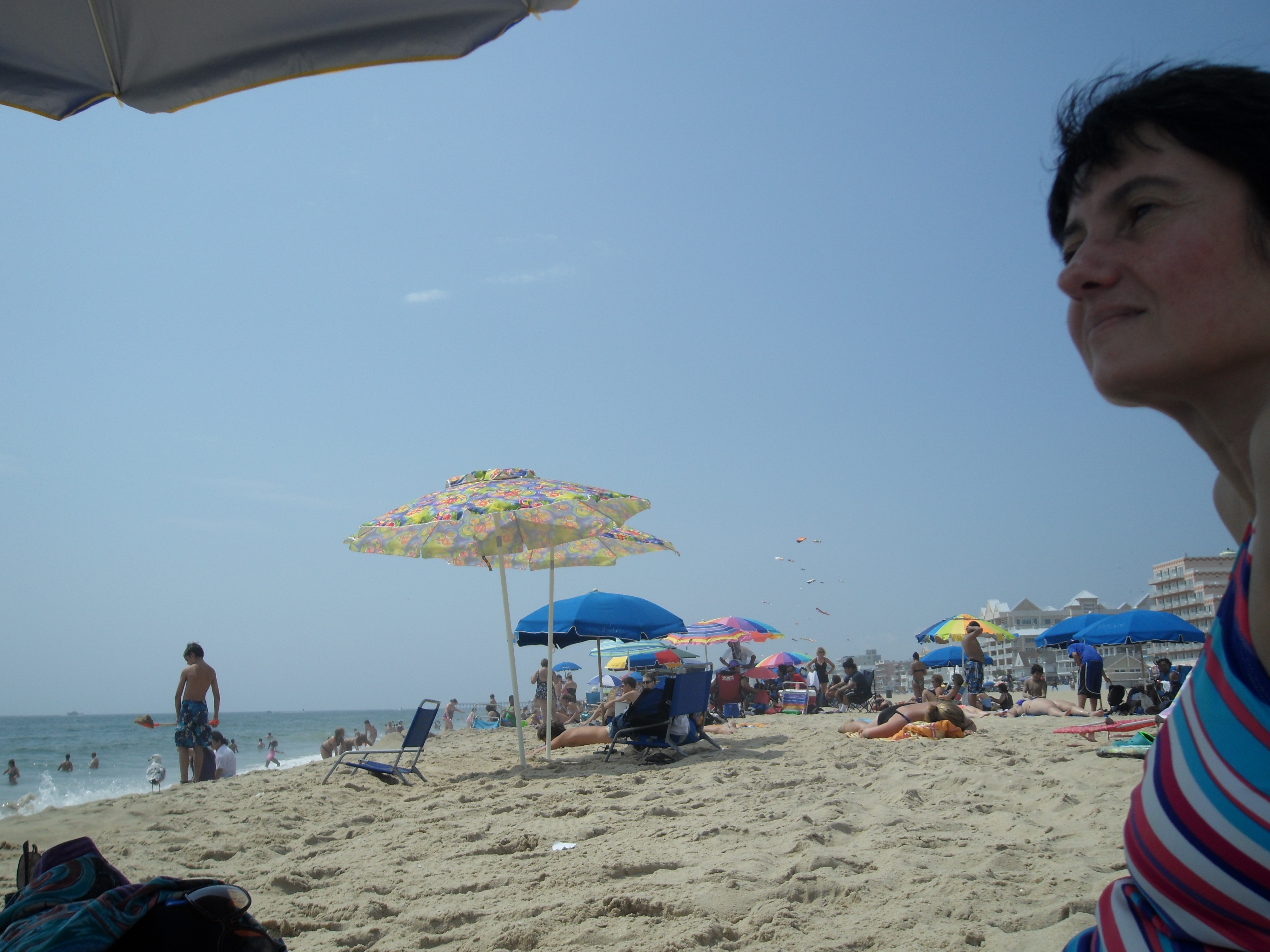 SAM_0935.JPG