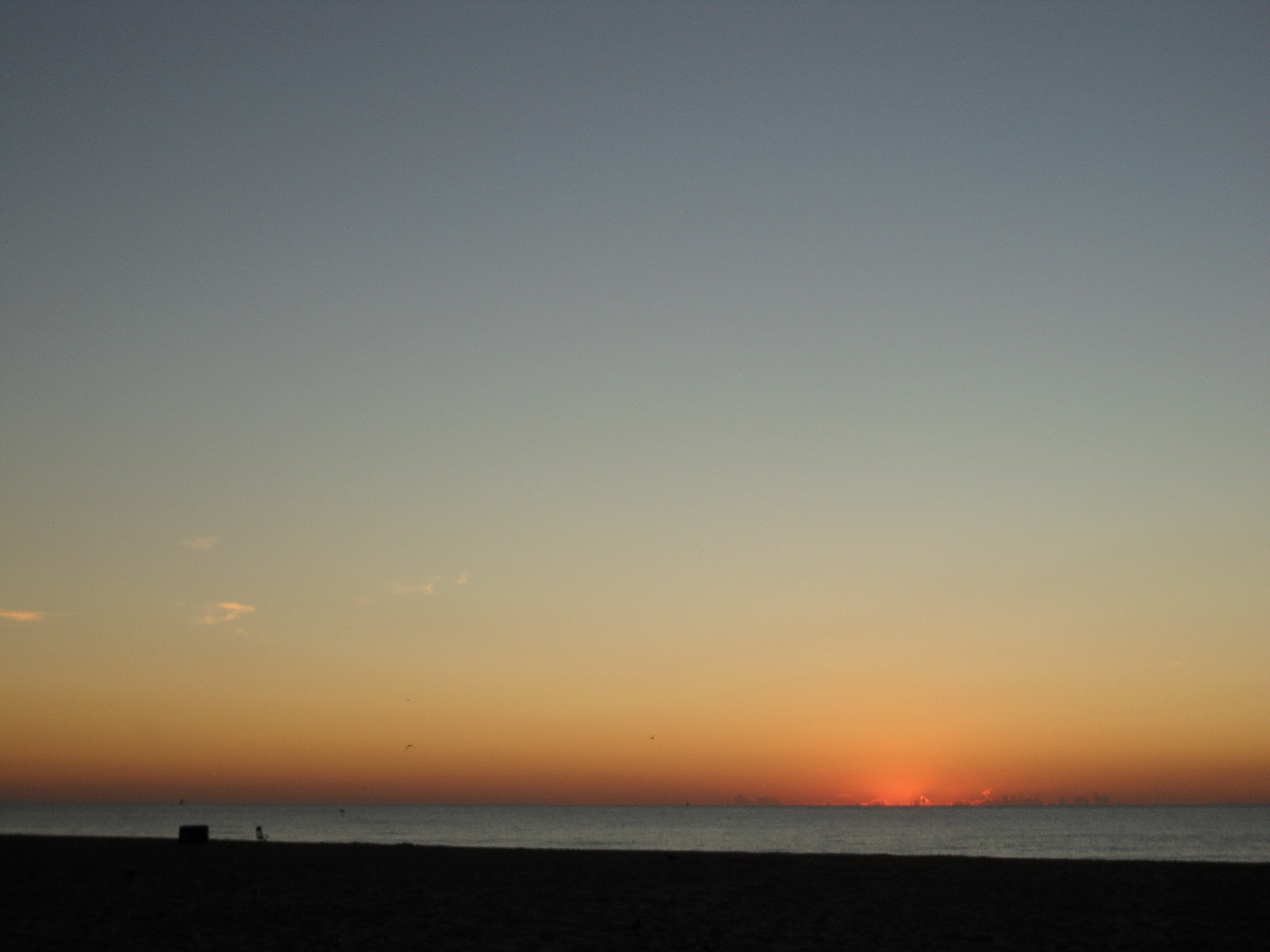 SAM_0954.JPG