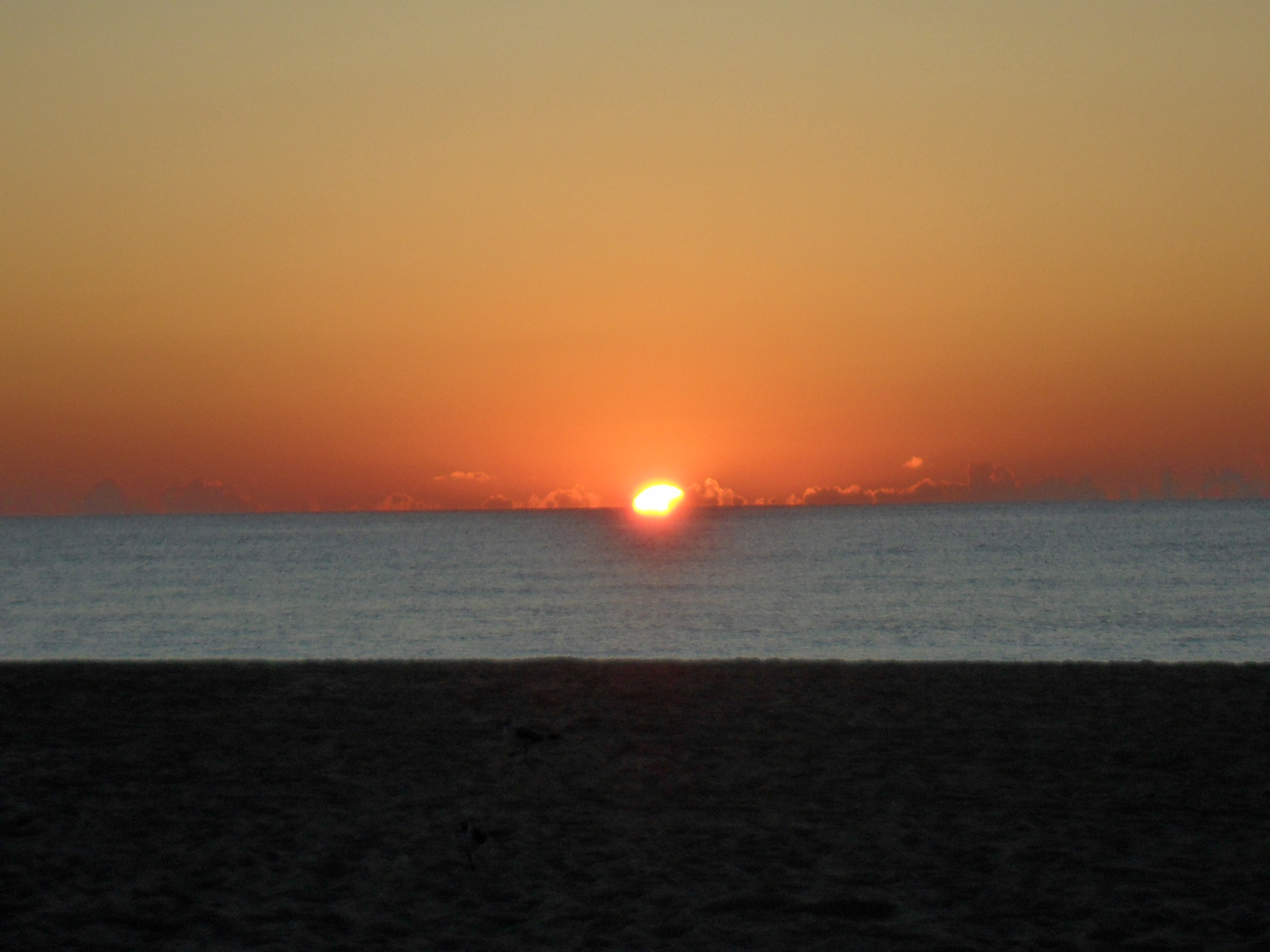 SAM_0959.JPG