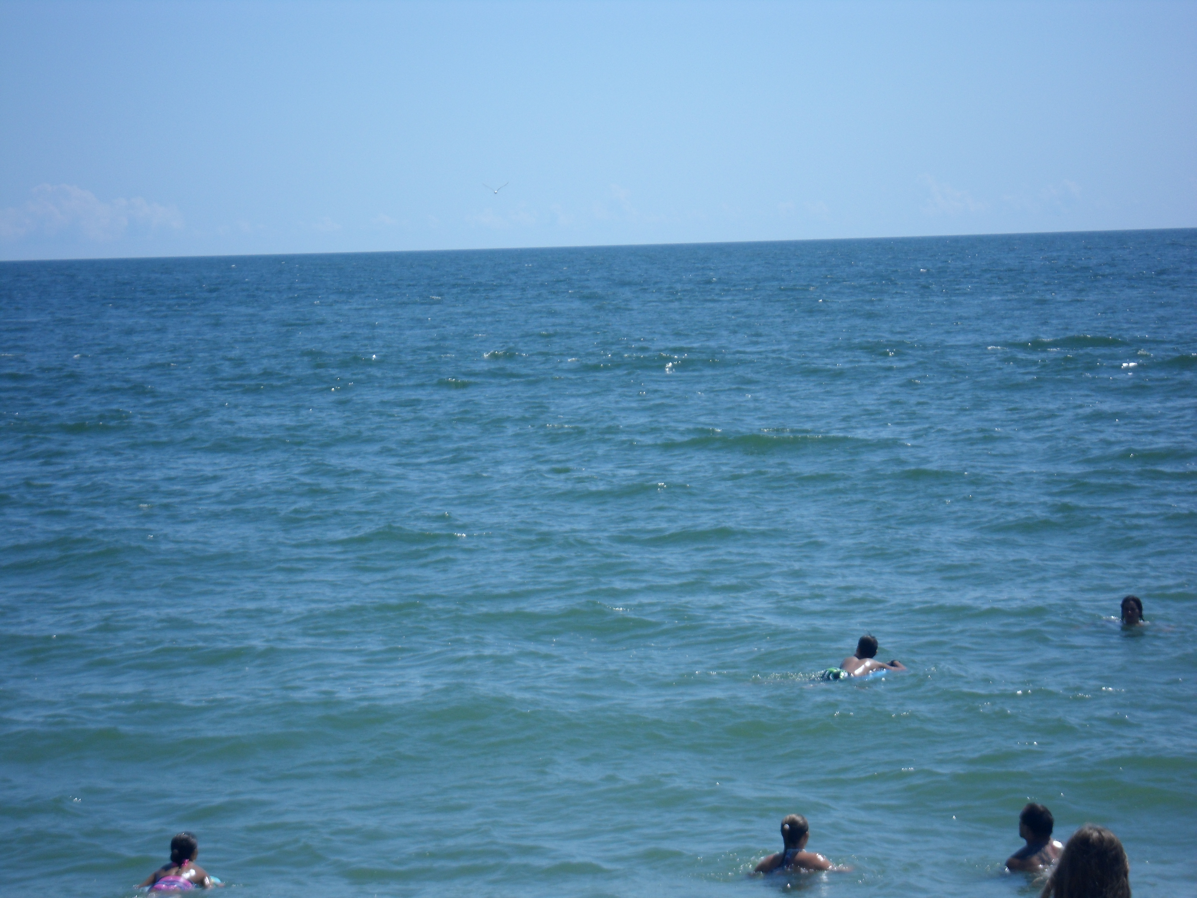 SAM_0995.JPG