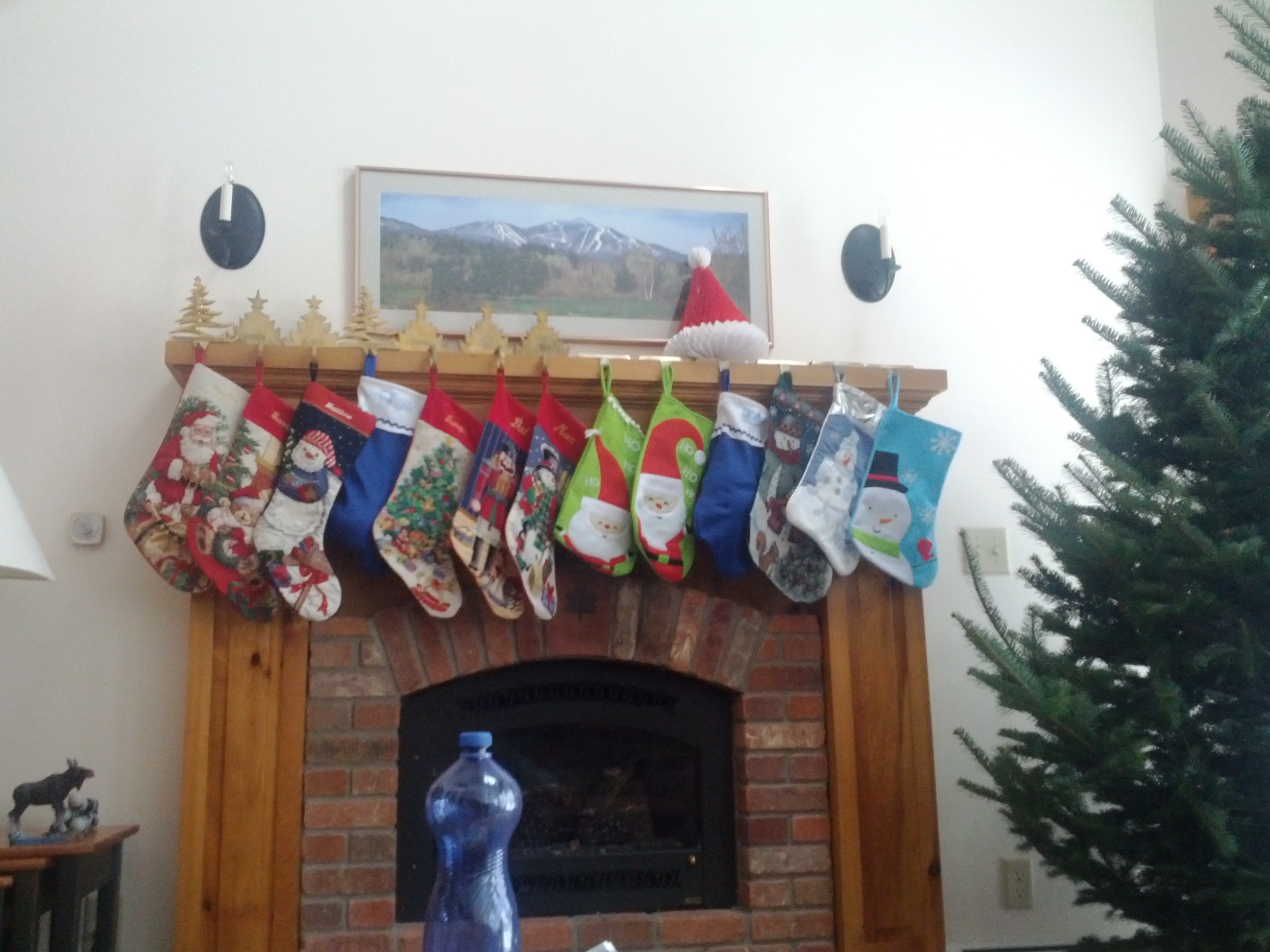IMG_20111219_104415.jpg