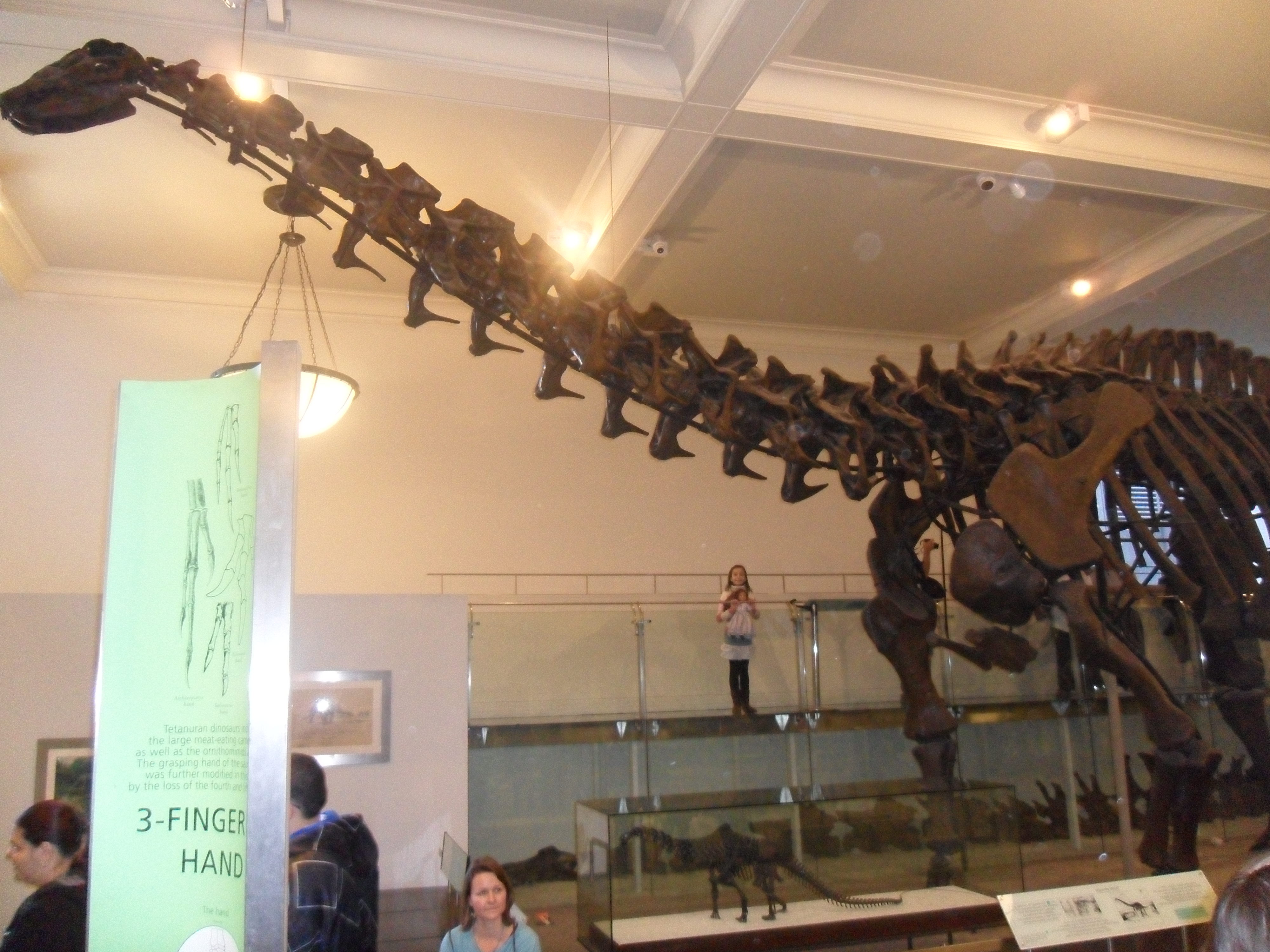 SAM_0370.JPG