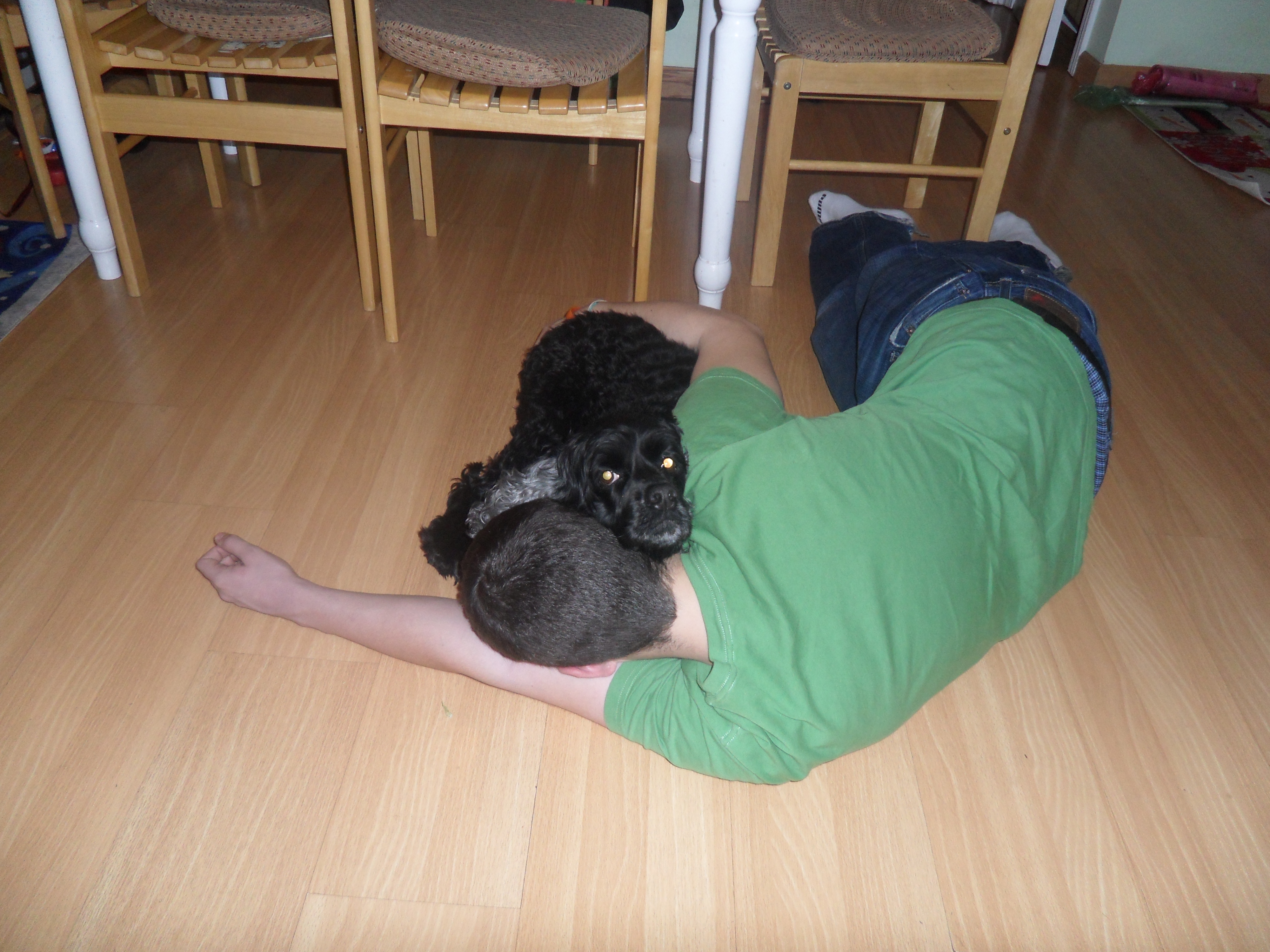 SAM_0377.JPG