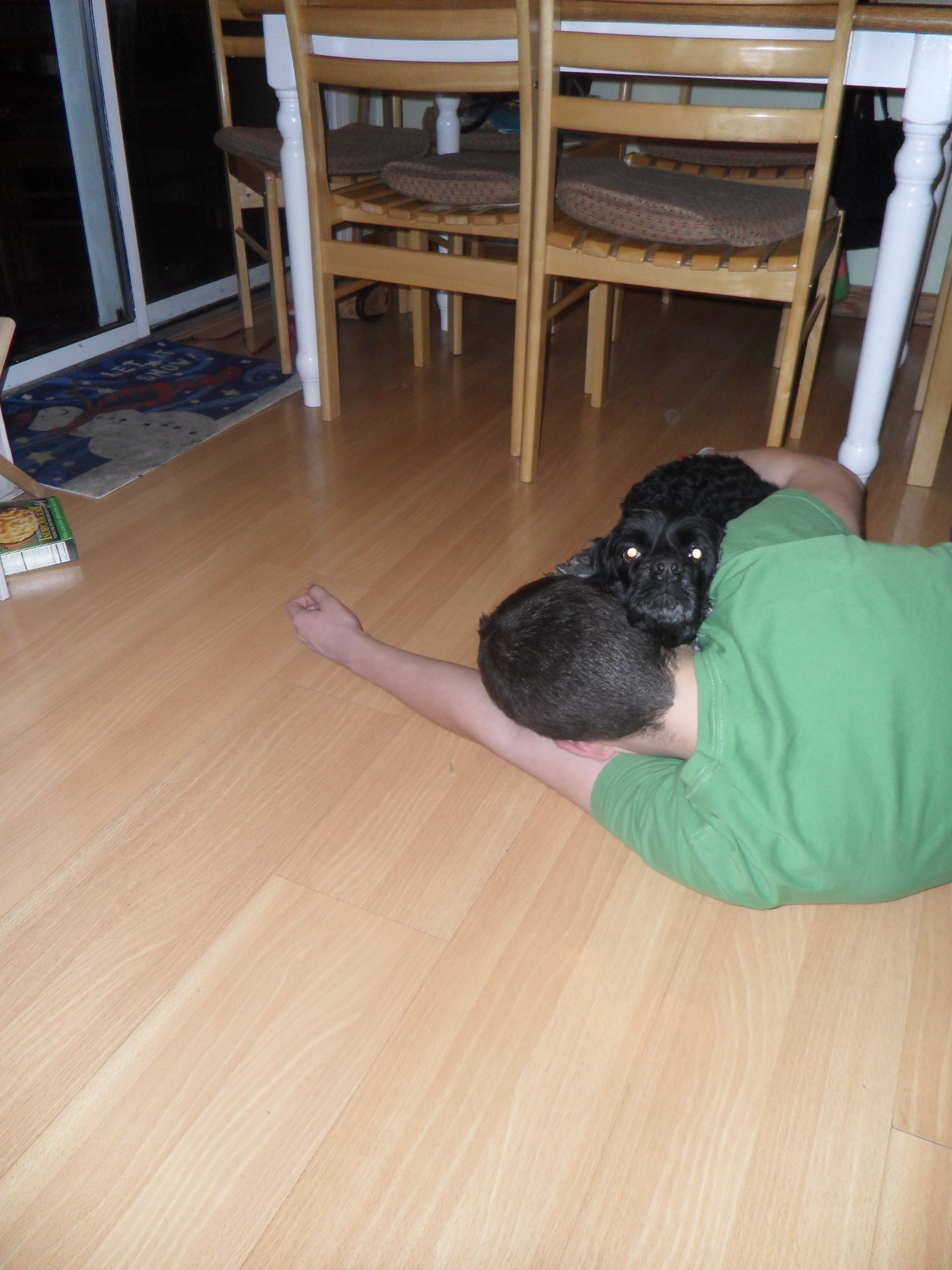 SAM_0378.JPG