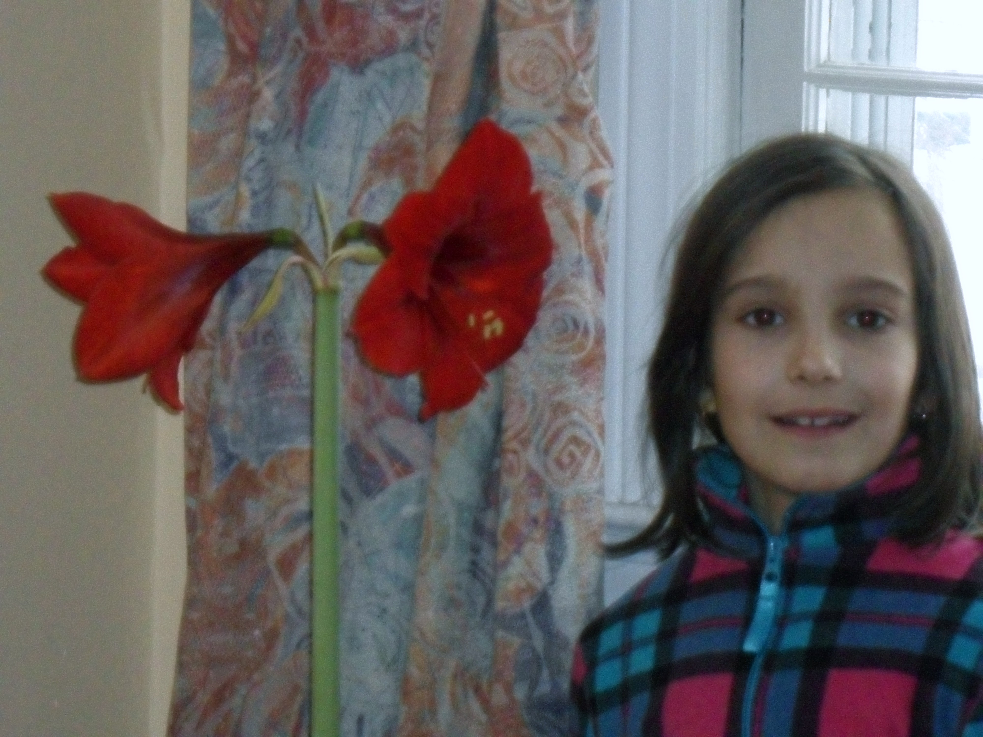 SAM_0289.JPG