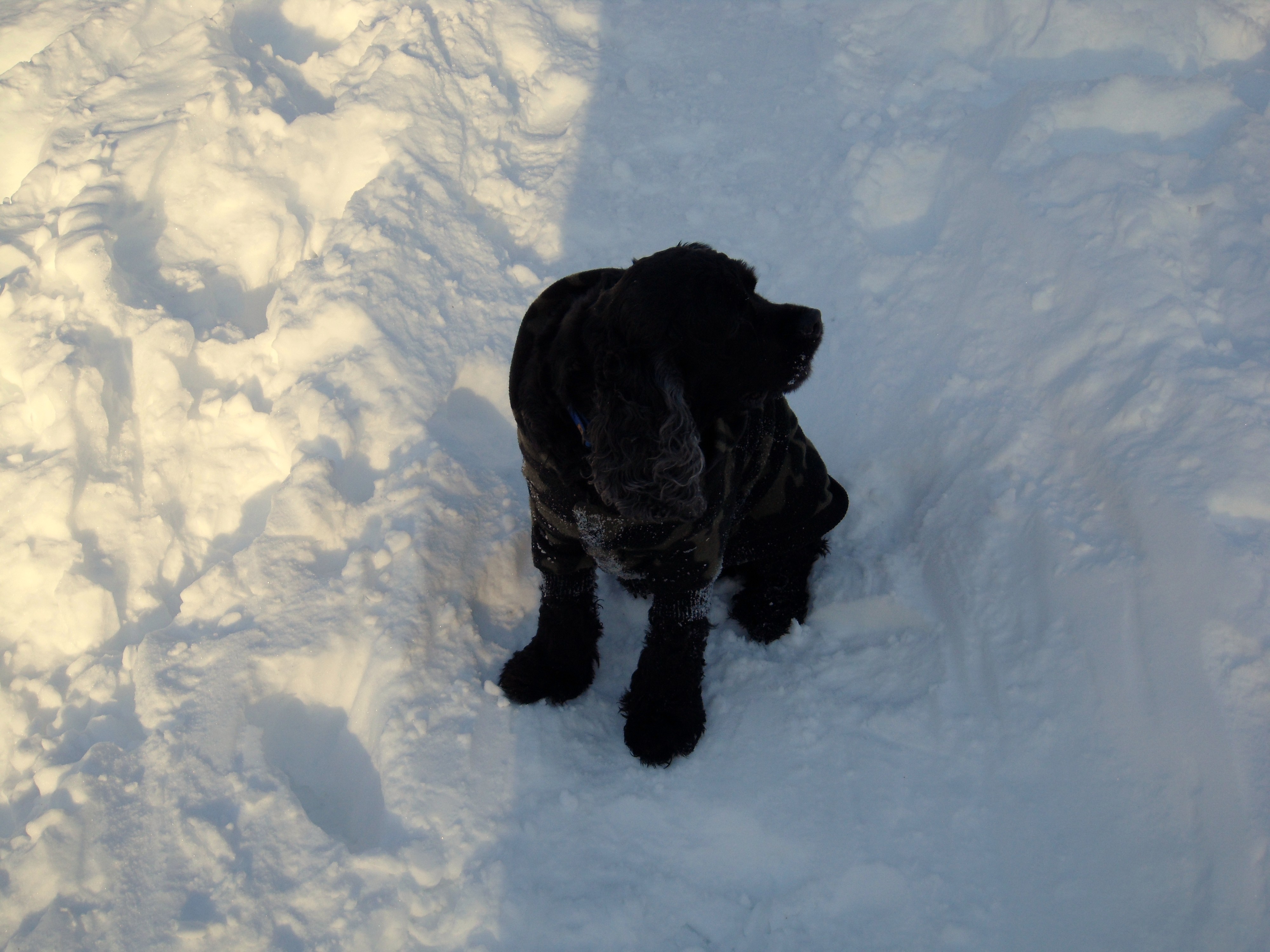 SAM_0292.JPG