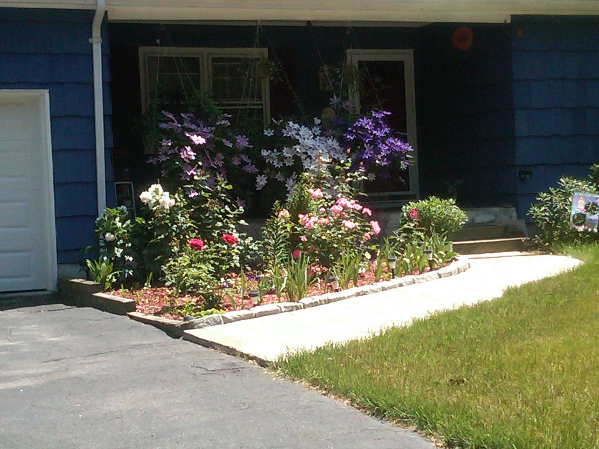 IMG00024-20110604-1408.jpg