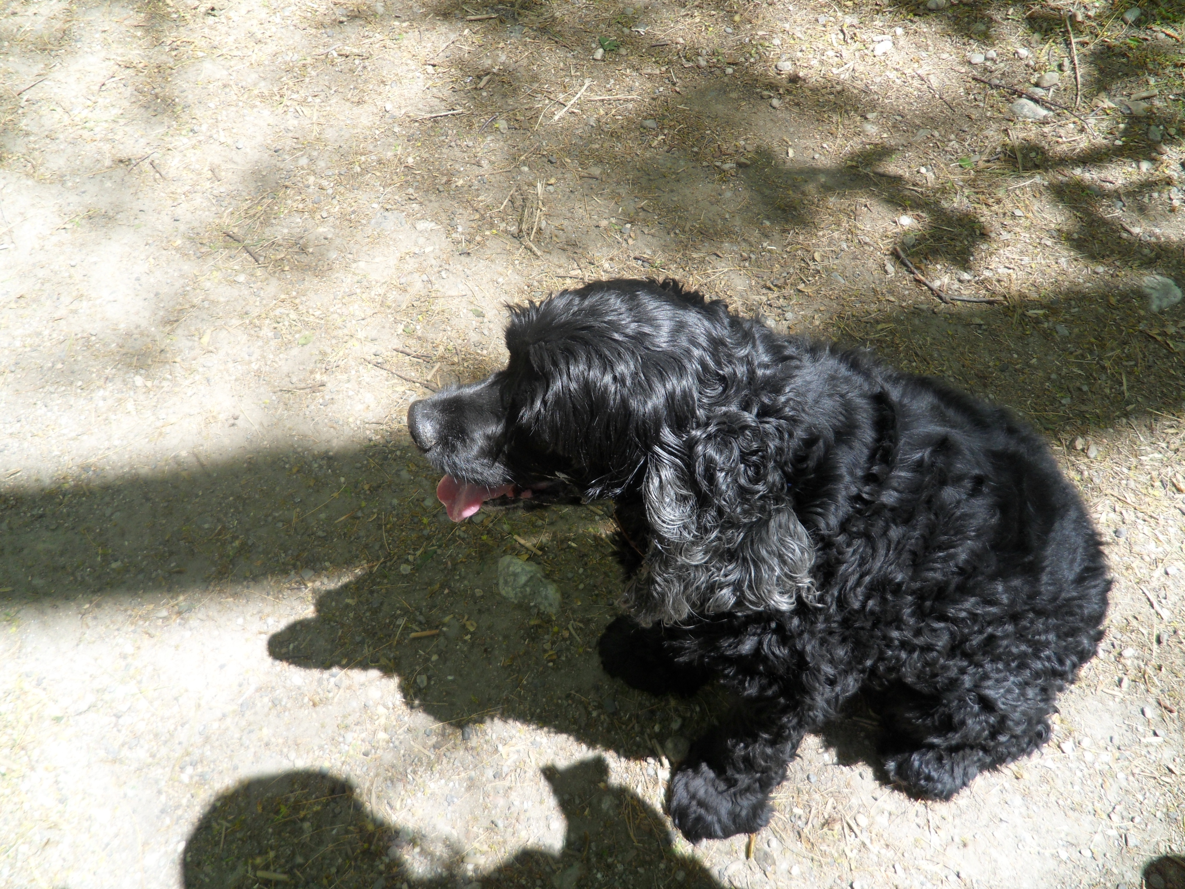 SAM_0496.JPG