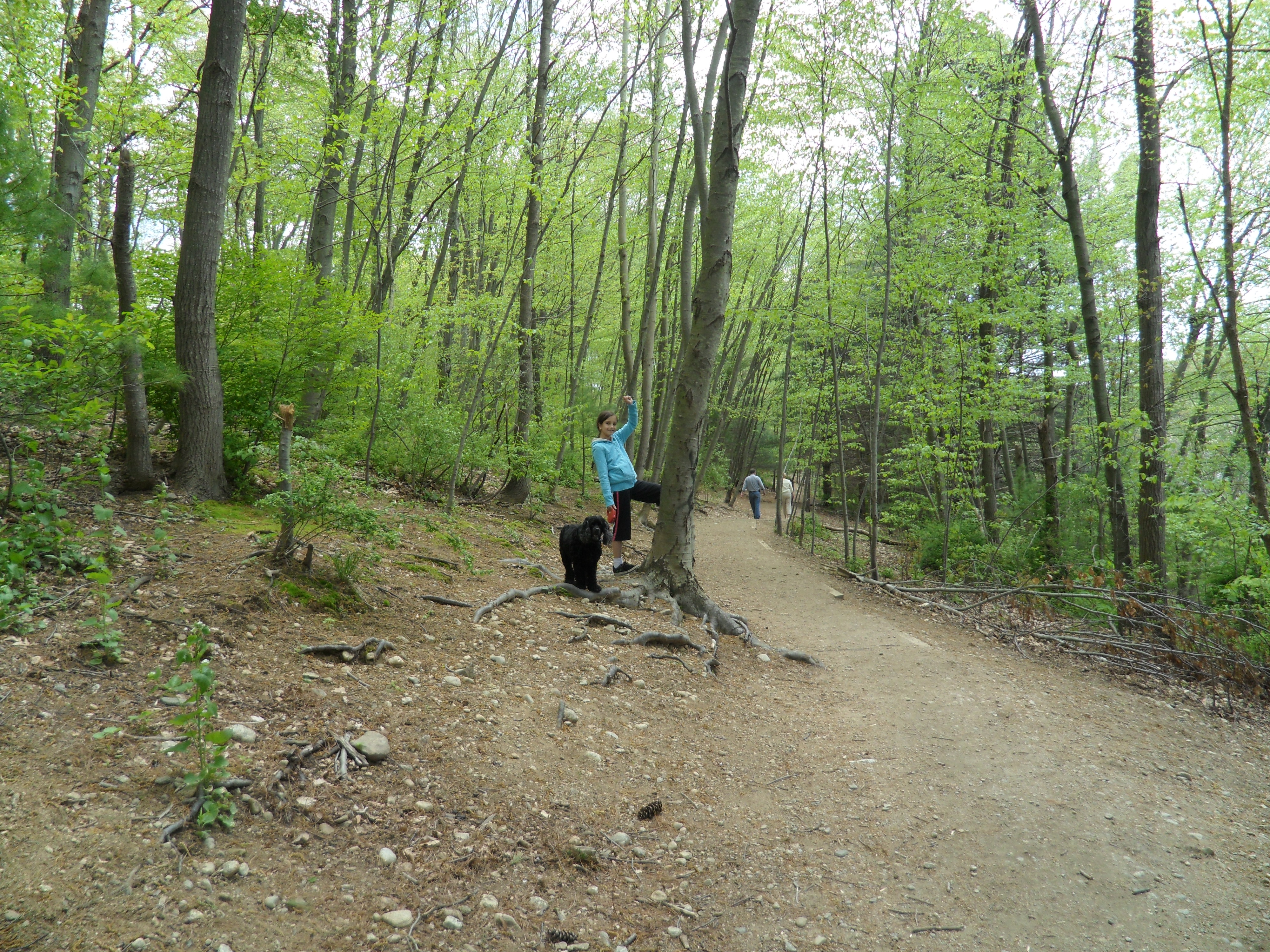 SAM_0641.JPG