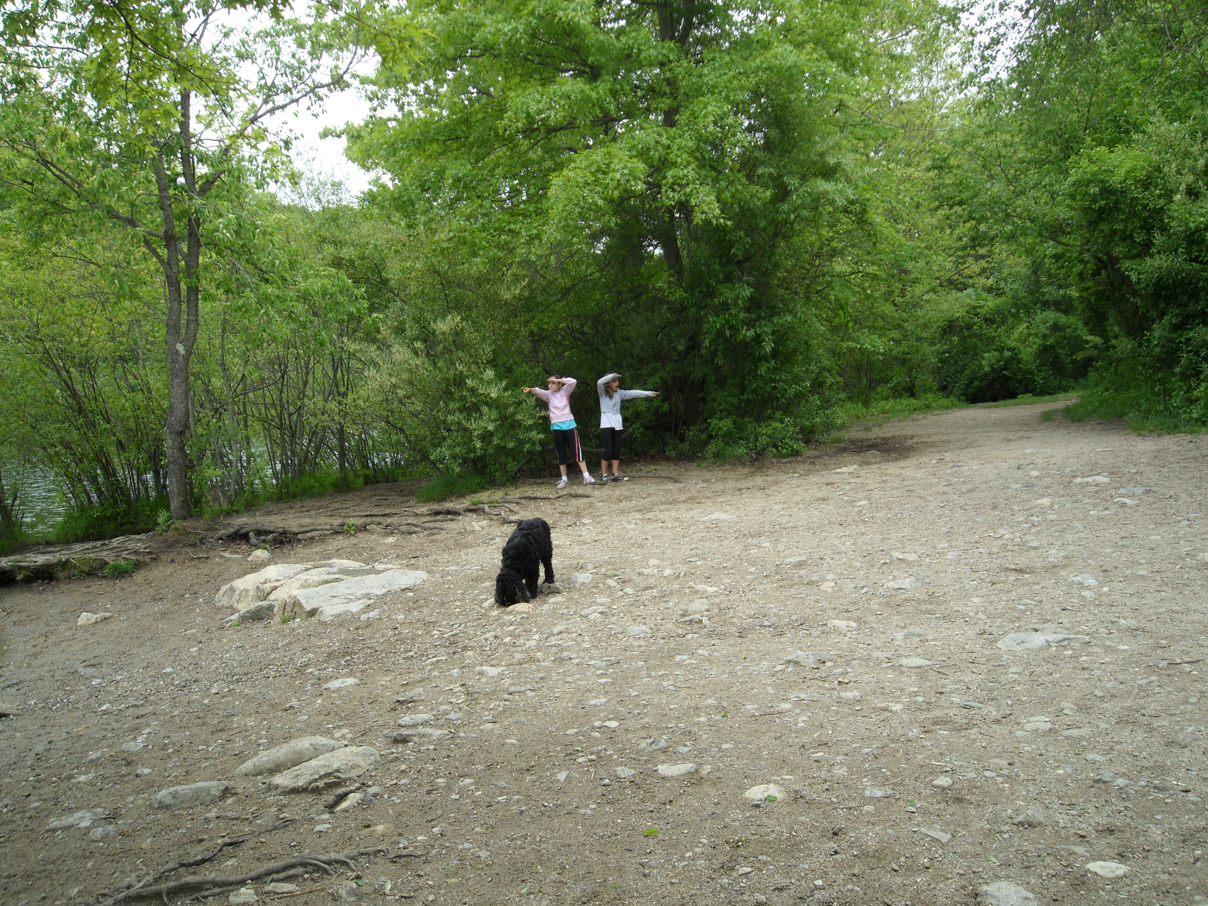 SAM_0678.JPG