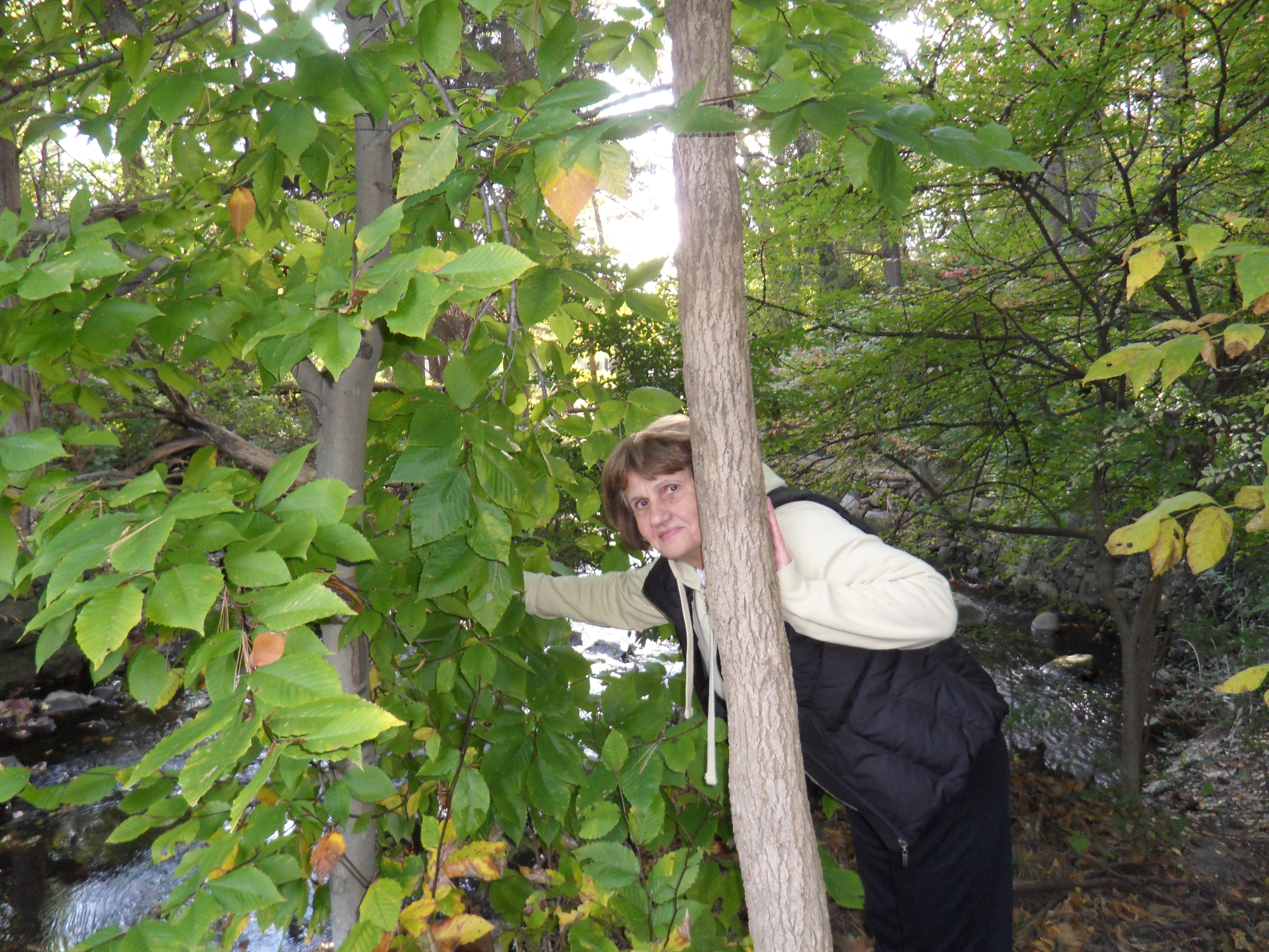 SAM_1163.JPG